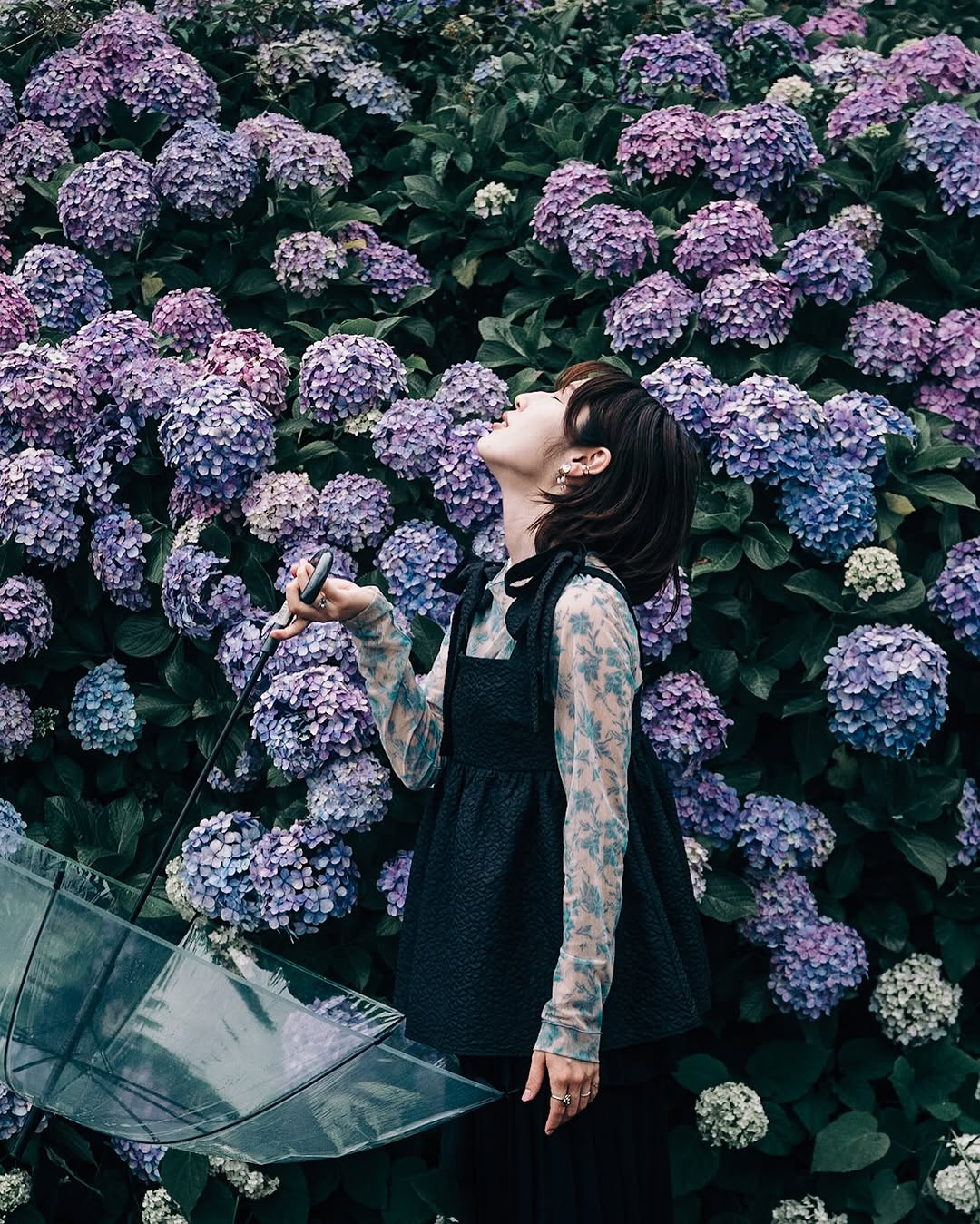 東京繡球花之旅:Kagura 個人寫真,珍藏你的美麗