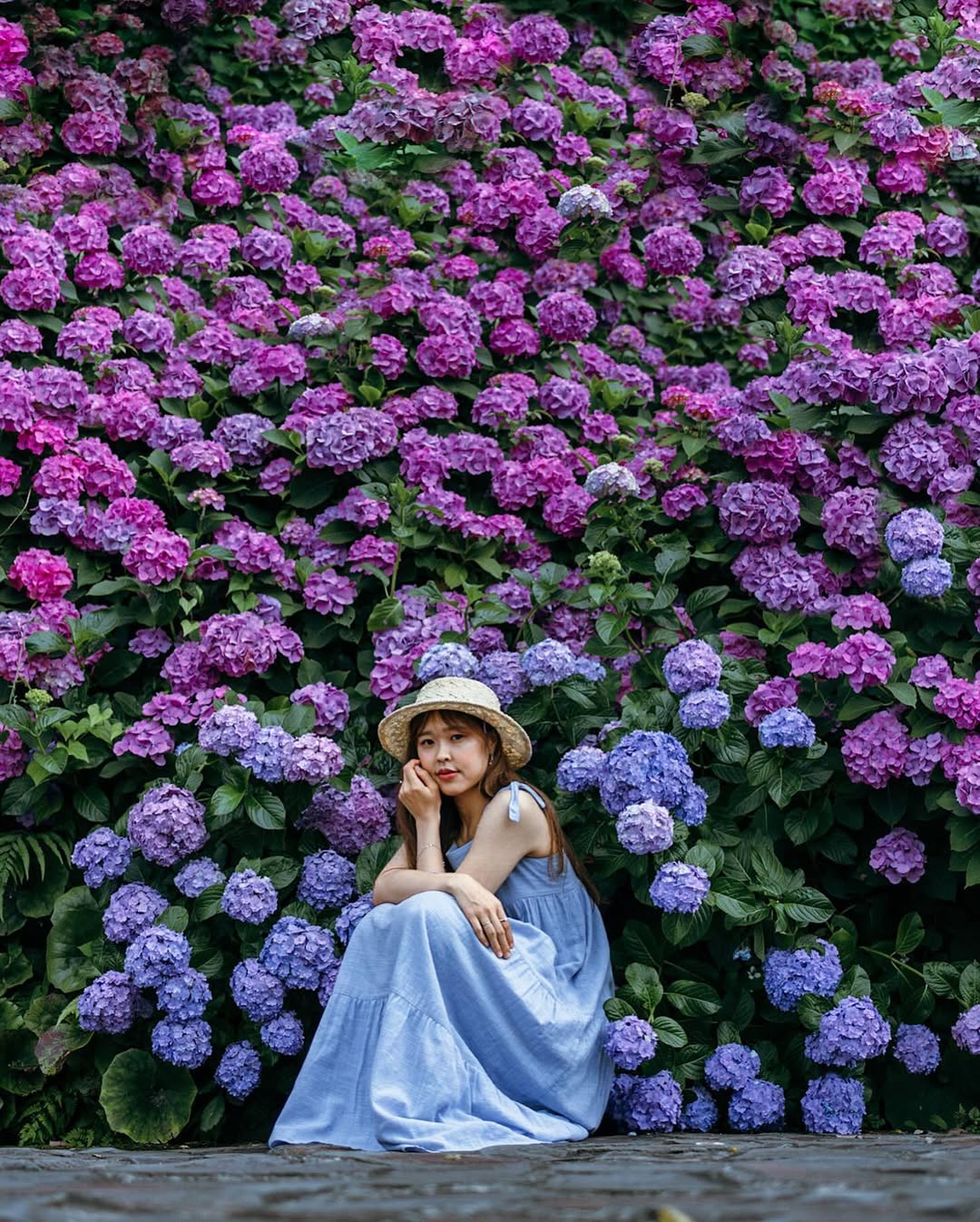 東京繡球花夢幻寫真:Yuriko捕捉你的浪漫瞬間