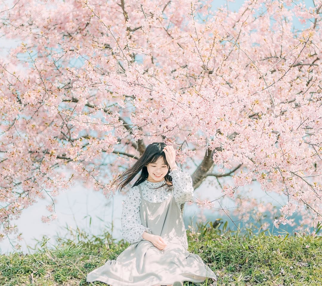 發現廣島之美:Dayo與你的攝影之旅