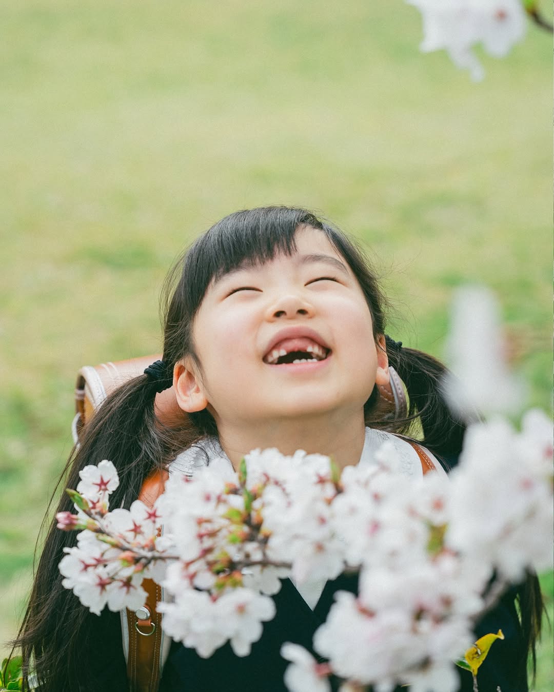 金澤親情之旅:Bear 捕捉你最自然的幸福時刻