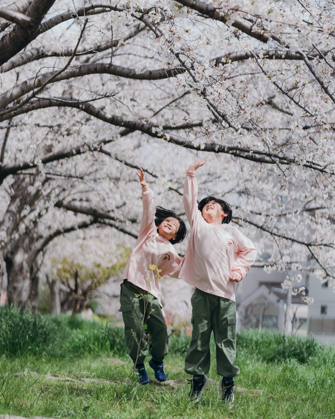 捕捉大阪的魔力:Yumiko家庭攝影體驗