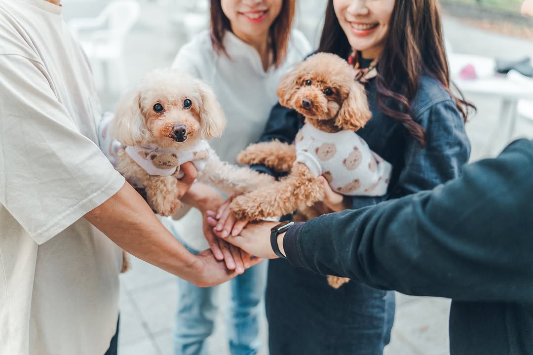 屬於我們的小小世界:Chika 千葉家庭與寵物攝影