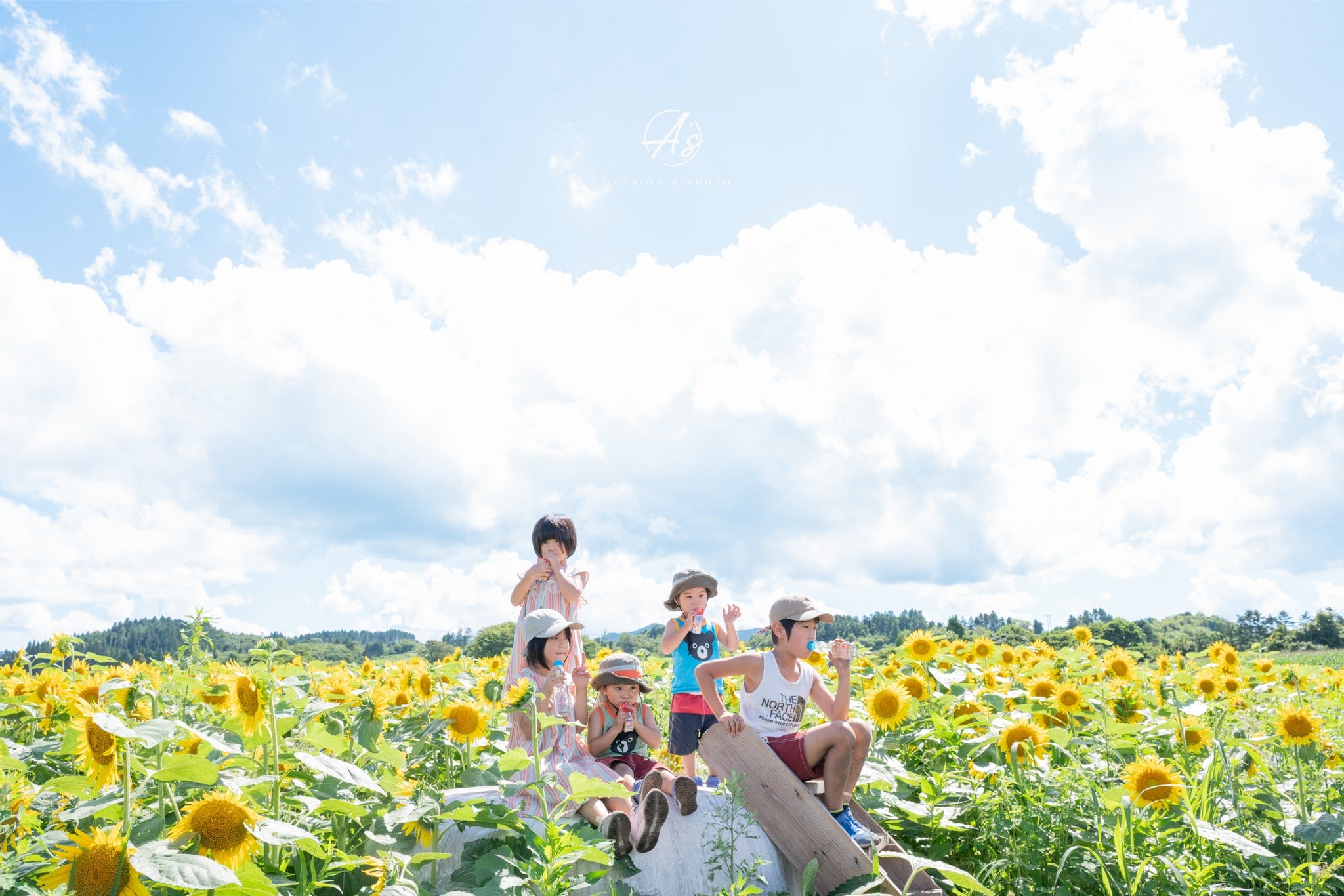 港都的溫馨足跡:由 Yasukawa 為我們定格函館的家庭時光