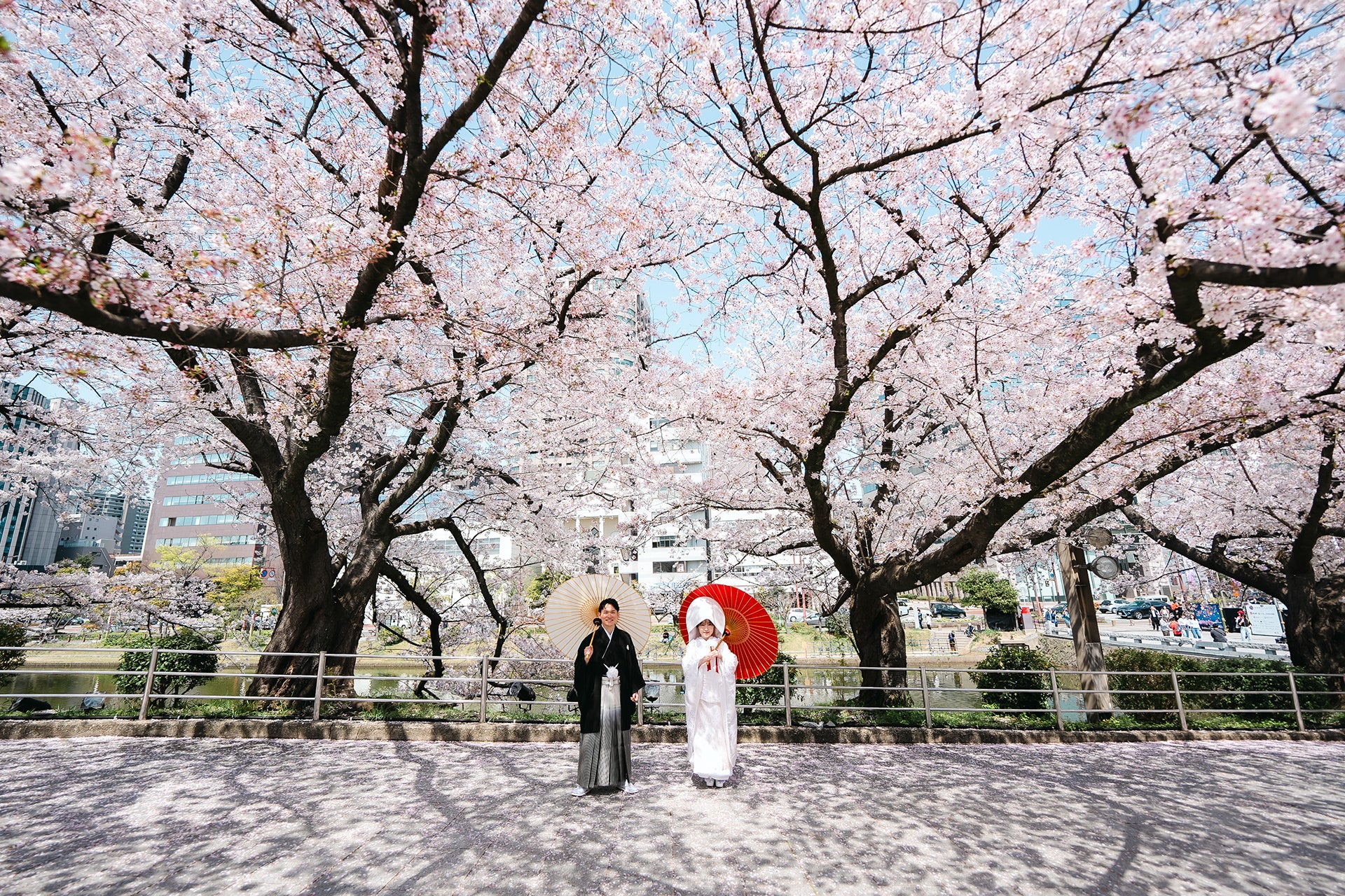 情感寫真:Ishii鏡頭下的福岡愛侶故事