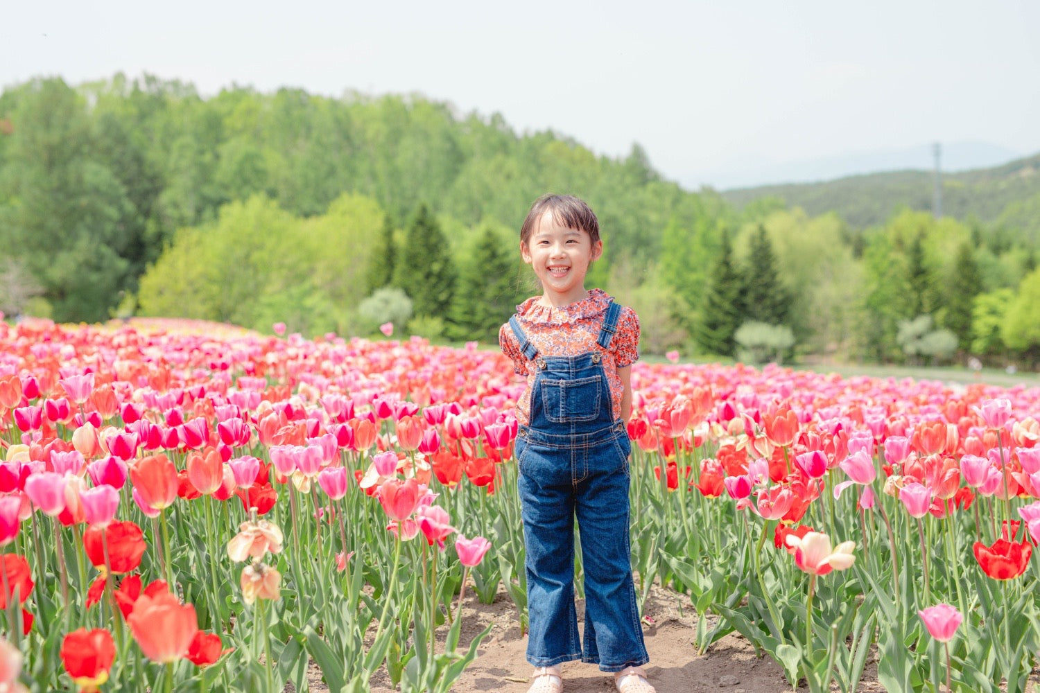 北海道全家福:與 Luna 一起,捕捉愛的永恆瞬間