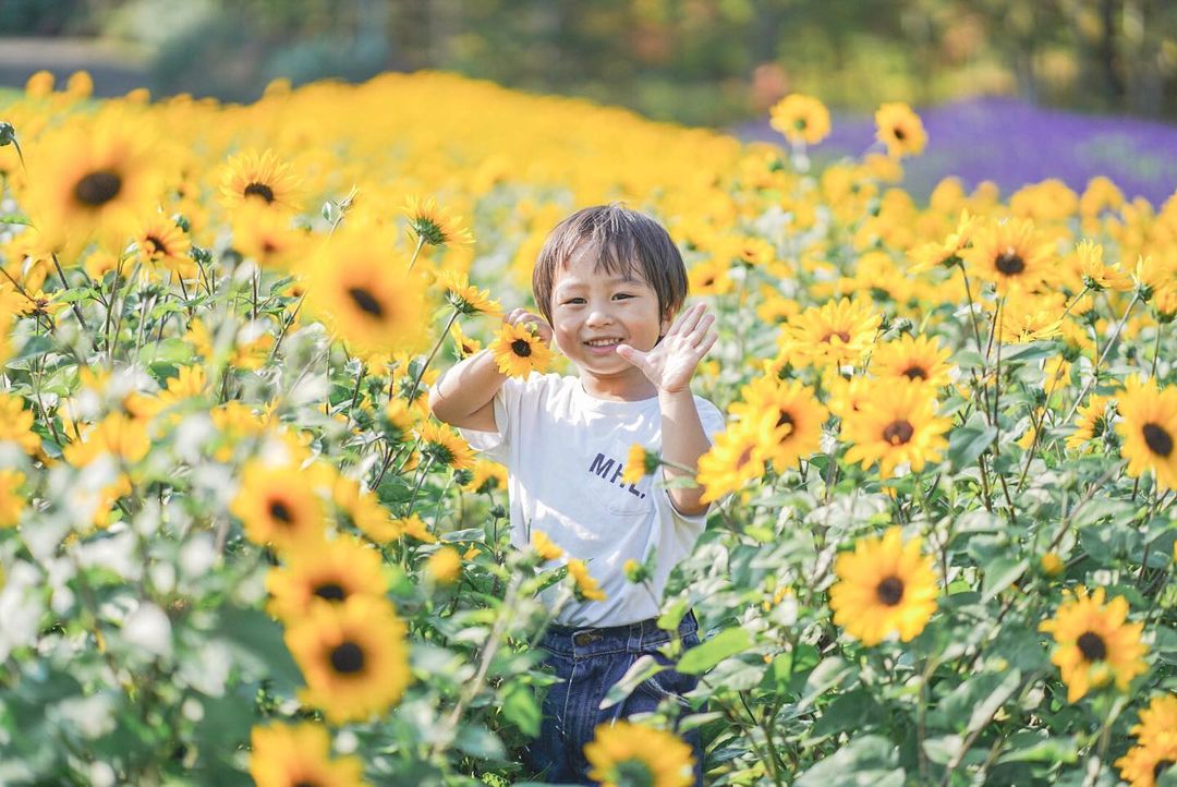 與Coco一起在北海道滝野鈴蘭丘陵公園慶祝家庭時光