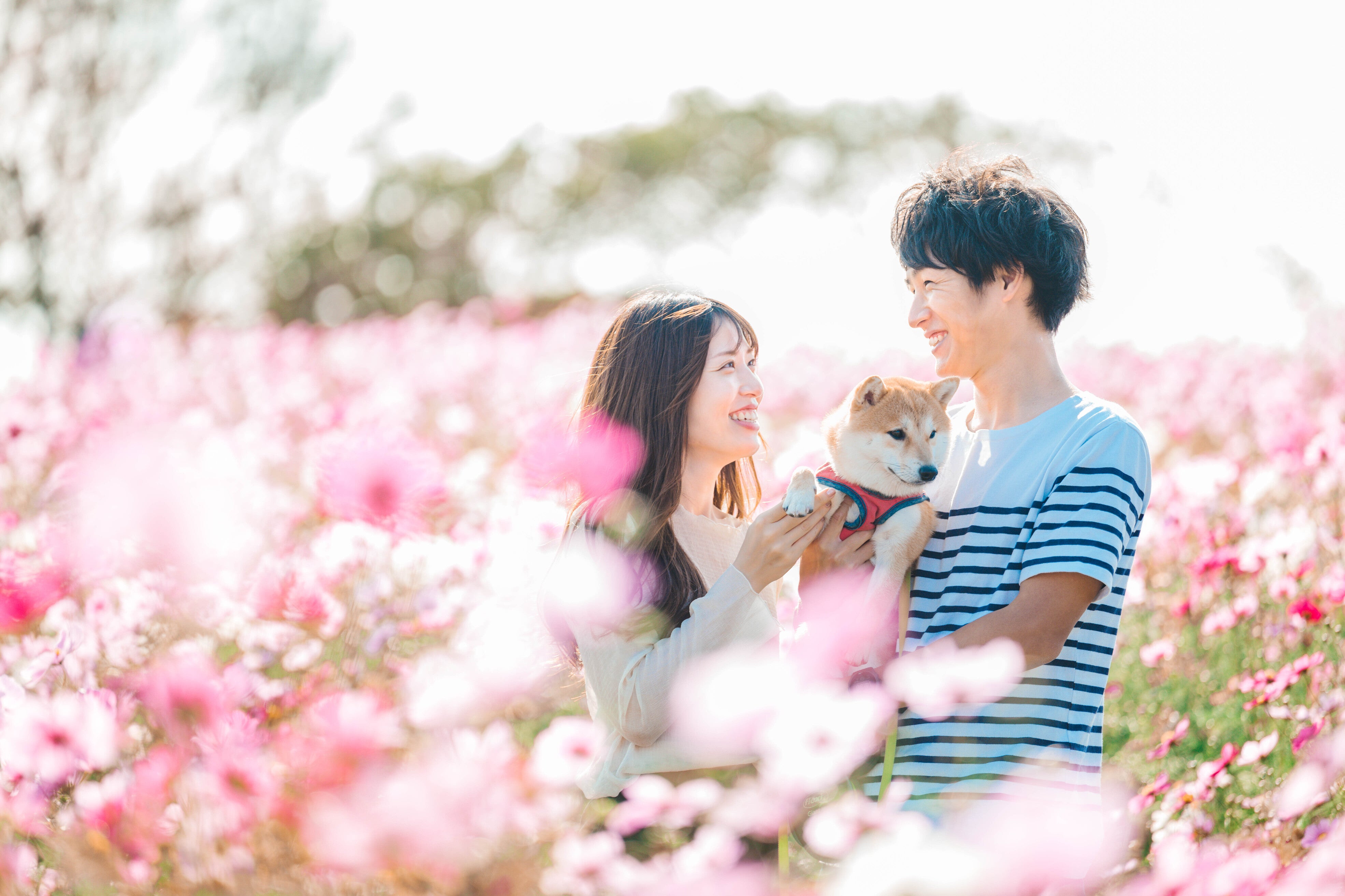 福岡家庭回憶:Makoto動人攝影時光