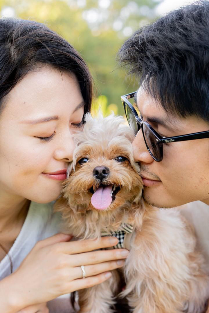 川越回憶:Inu兩小時家庭寵物攝影體驗