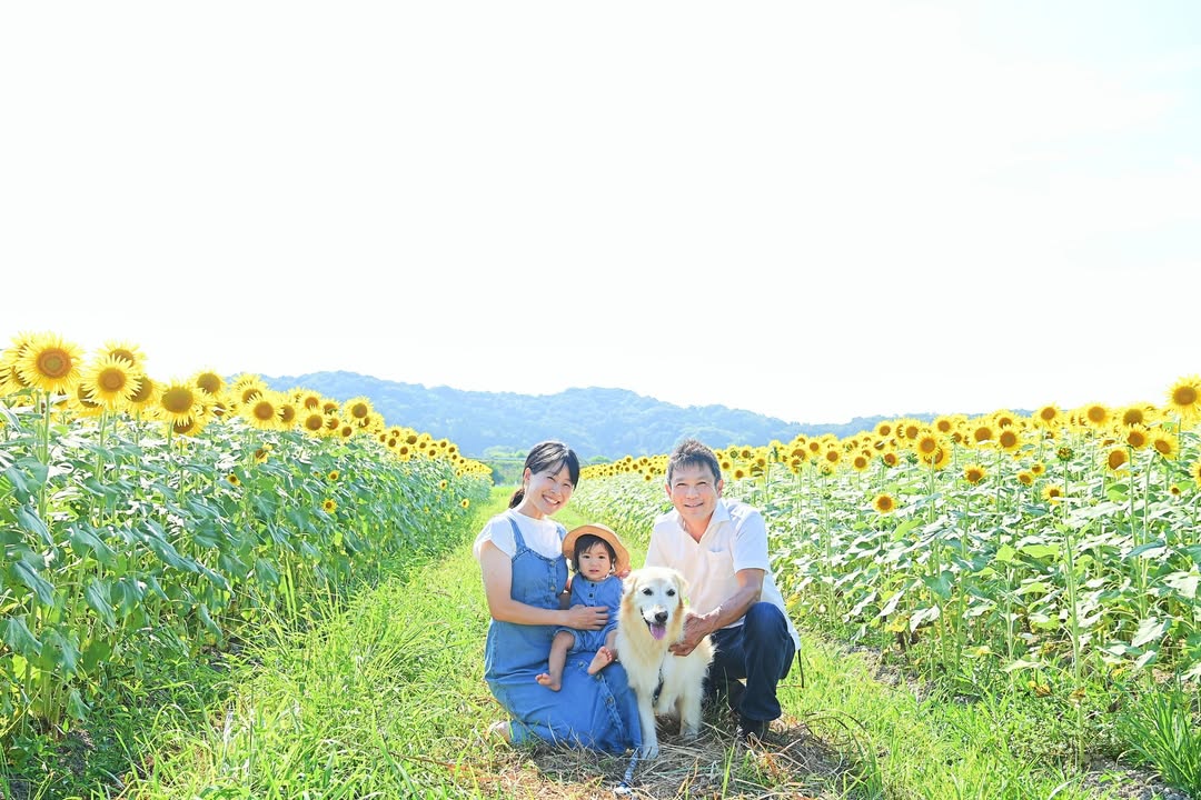 幸福,是鳥取陽光下的全家笑語 : Yui家庭攝影