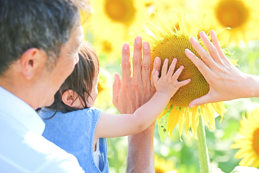 幸福,是鳥取陽光下的全家笑語 : Yui家庭攝影
