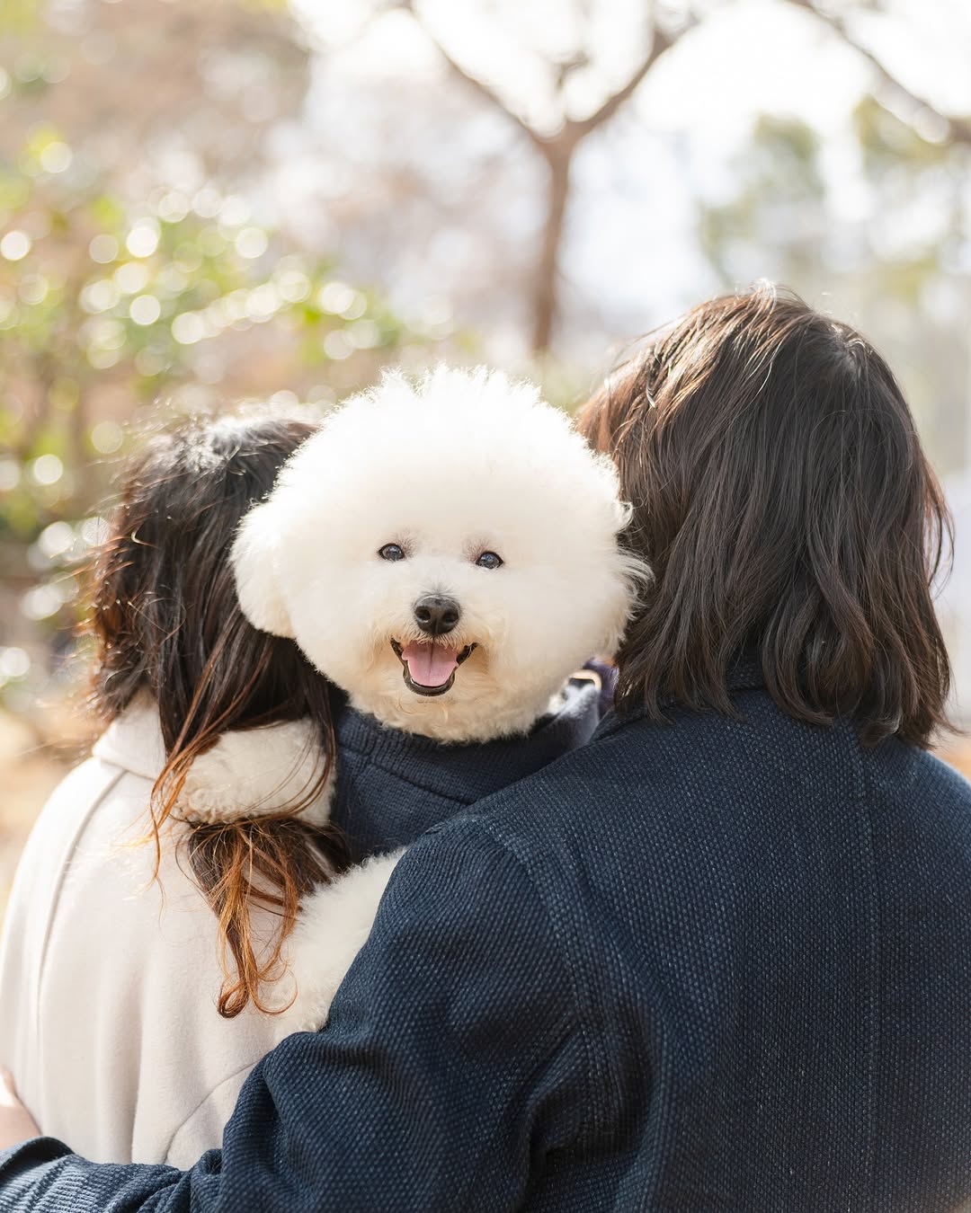 屬於我們的小小世界:Chika 千葉家庭與寵物攝影
