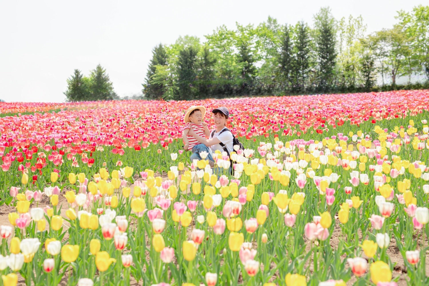 北海道全家福:與 Luna 一起,捕捉愛的永恆瞬間