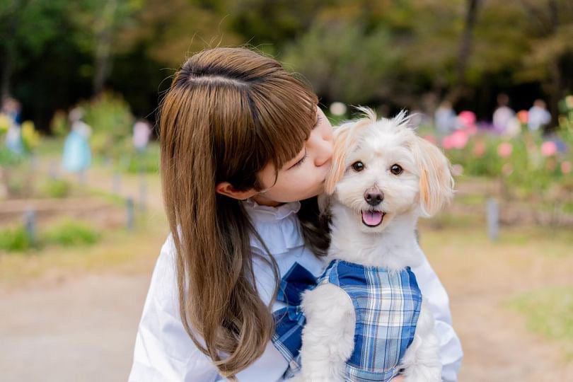 川越回憶:Inu兩小時家庭寵物攝影體驗
