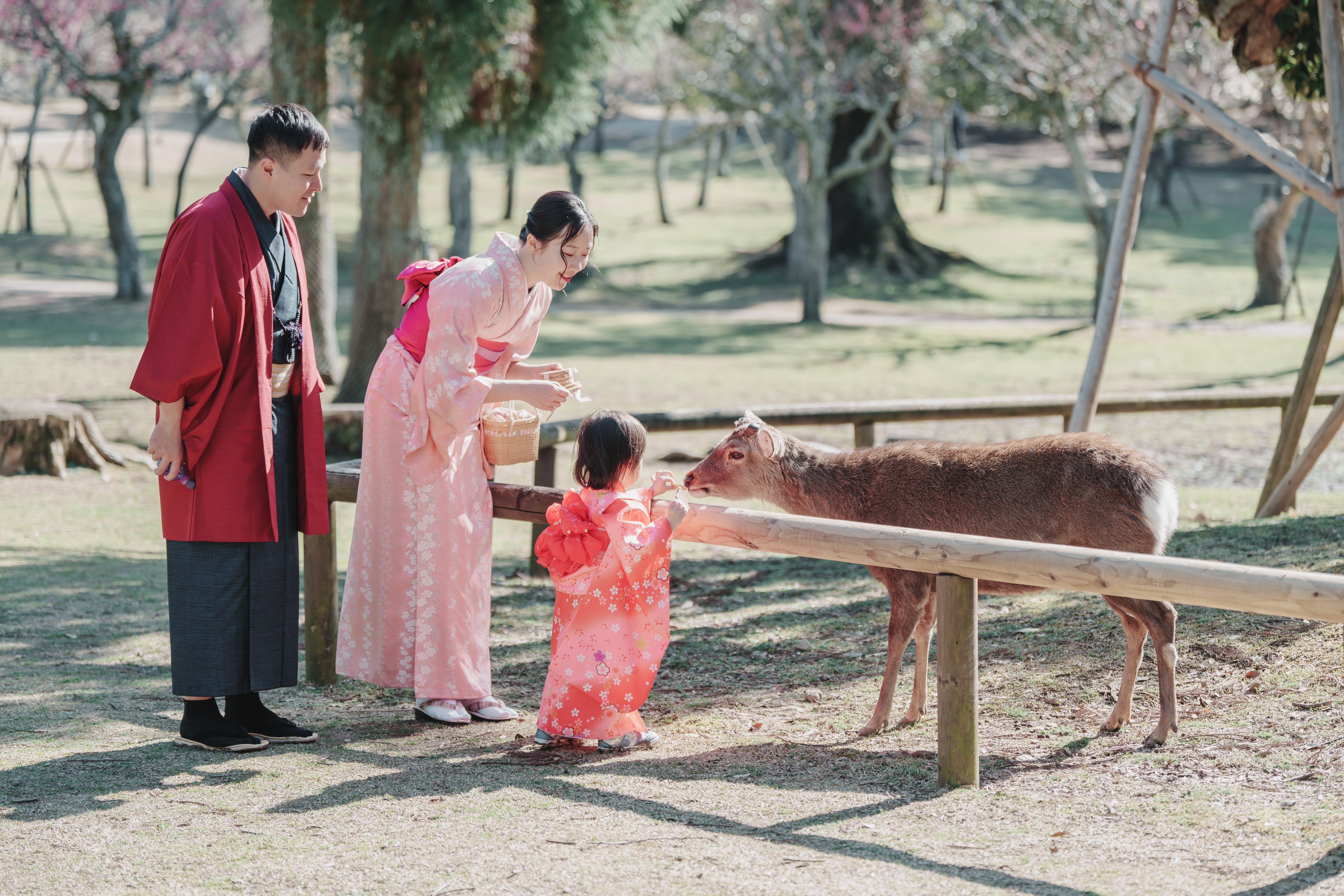 奈良公園家庭攝影:與攝影師Jerry珍惜每一刻