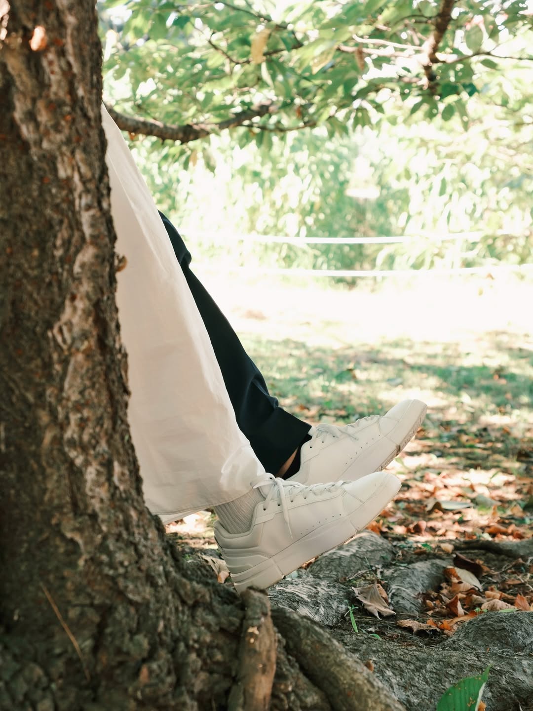 屬於我們的一章:與Misan一起書寫埼玉愛情故事