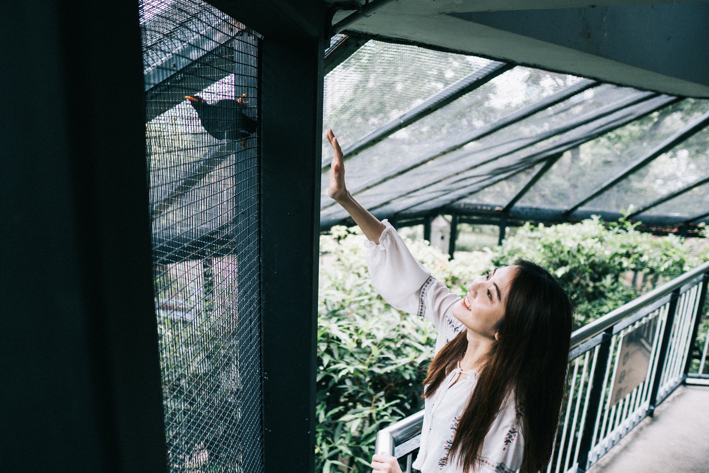 Nature Photoshoot Singapore | Green Tunnel Photography Singapore