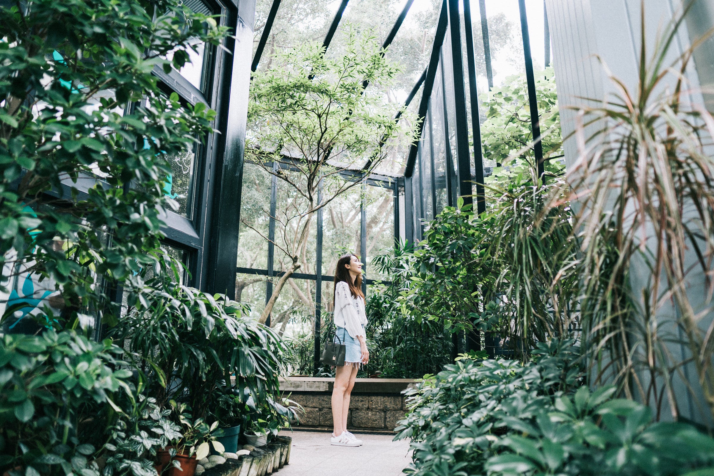 Nature Photoshoot Singapore | Green Tunnel Photography Singapore