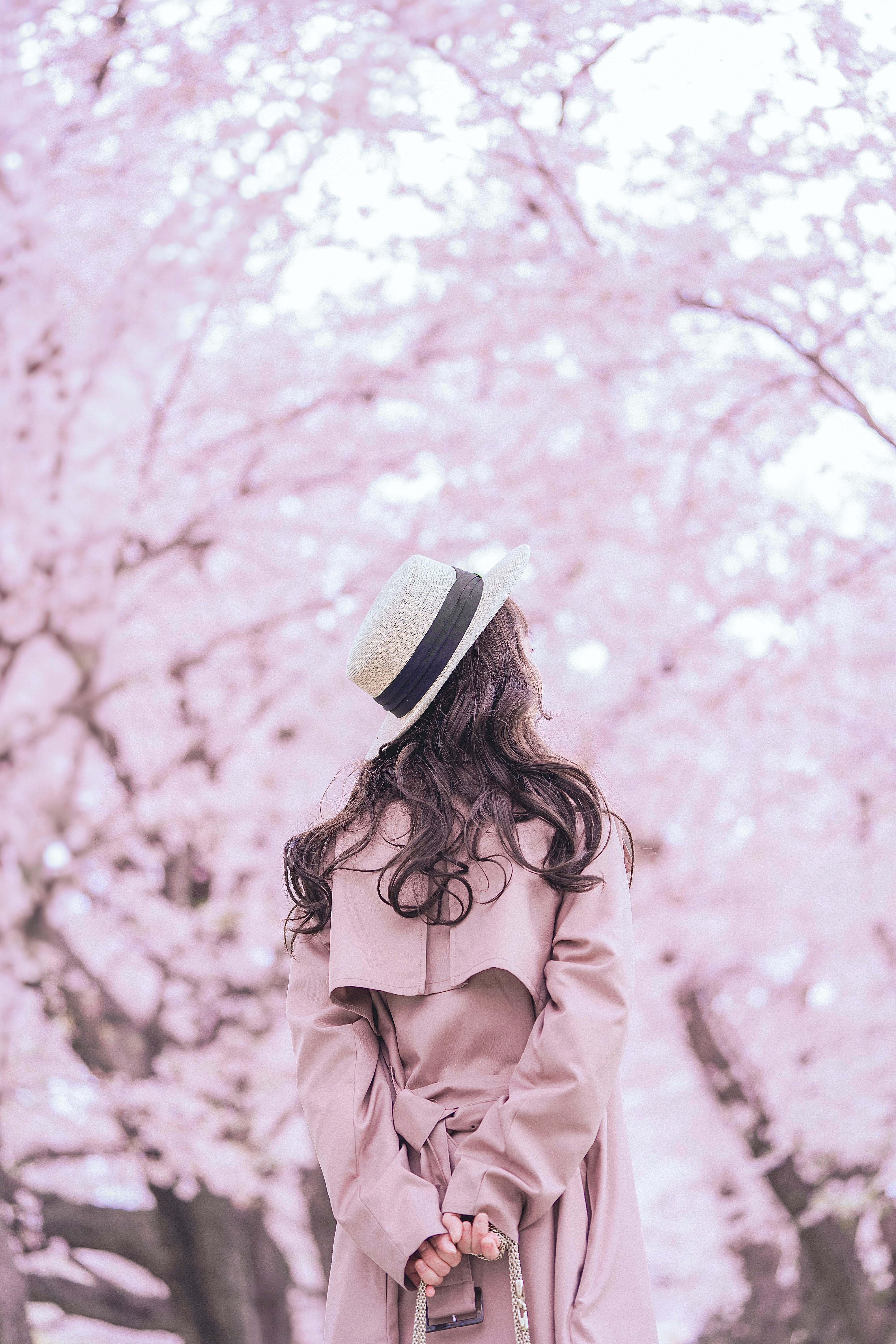 戀戀櫻花緣:與Jerry在大阪捕捉最真摯瞬間