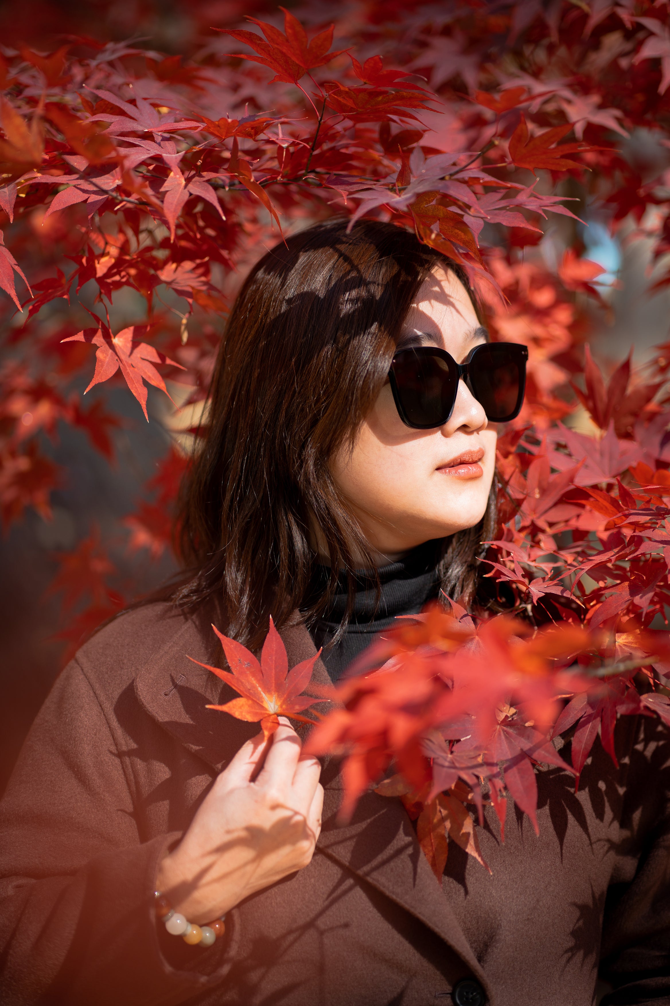 South Korea Photographers Booking