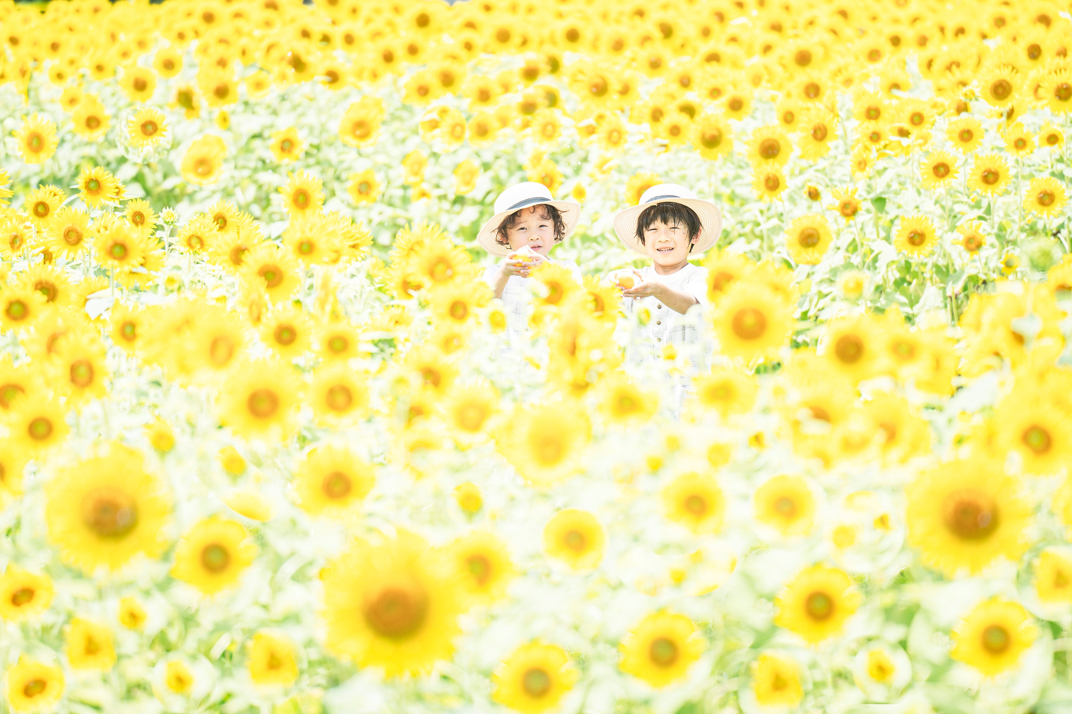 東京家之情感:與 Mai 捕捉完美回憶