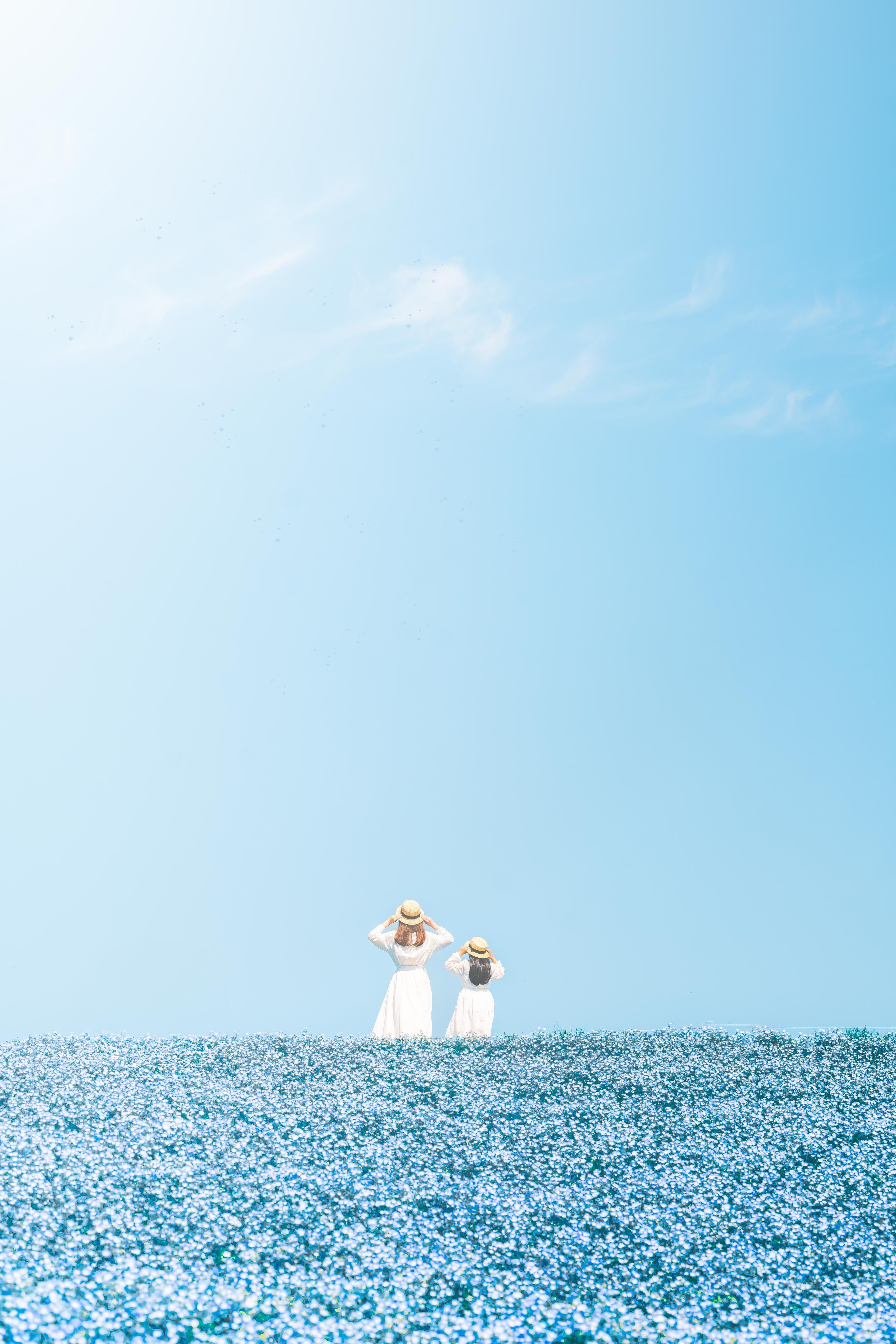 福岡家庭回憶:Makoto動人攝影時光