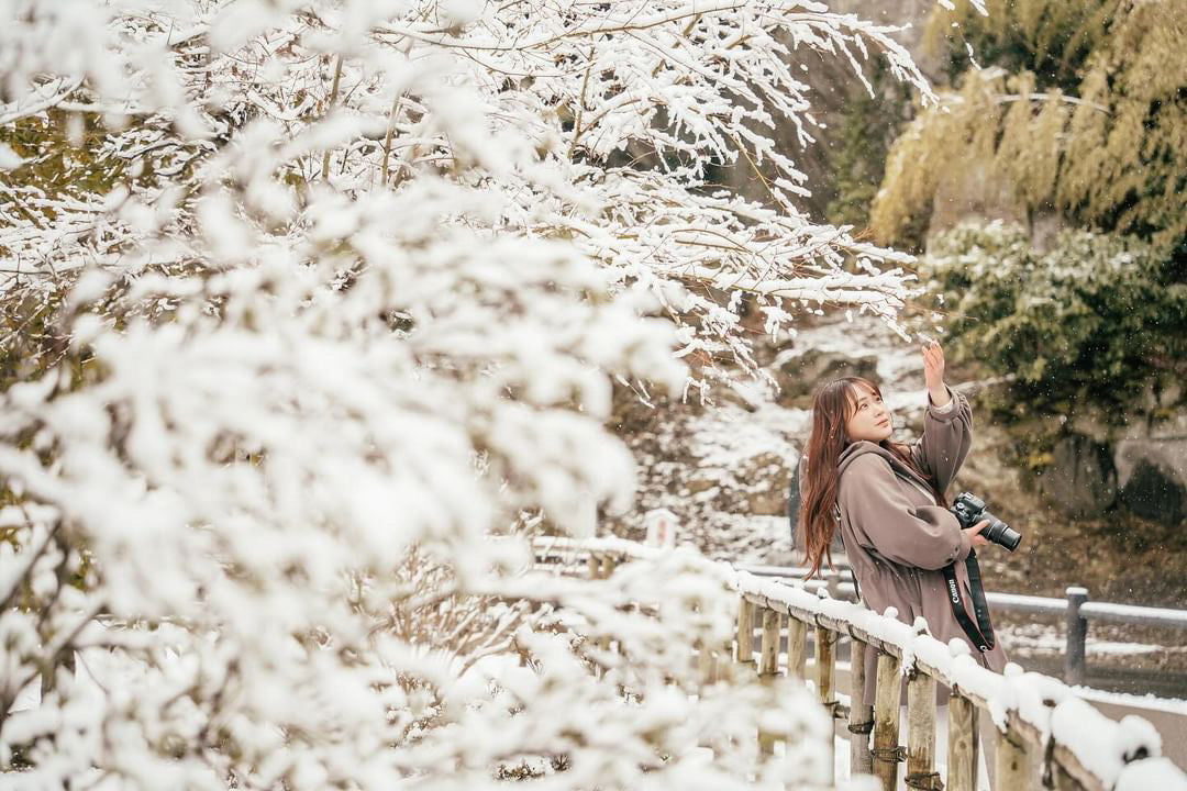 日本冬季雪景拍攝 | 東北專業攝影師