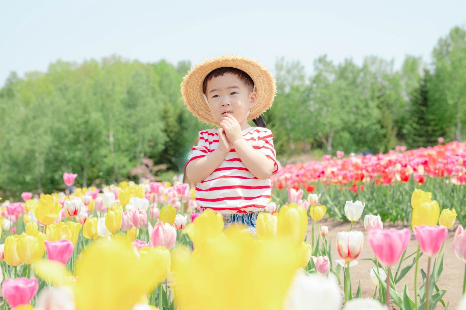 北海道全家福:與 Luna 一起,捕捉愛的永恆瞬間