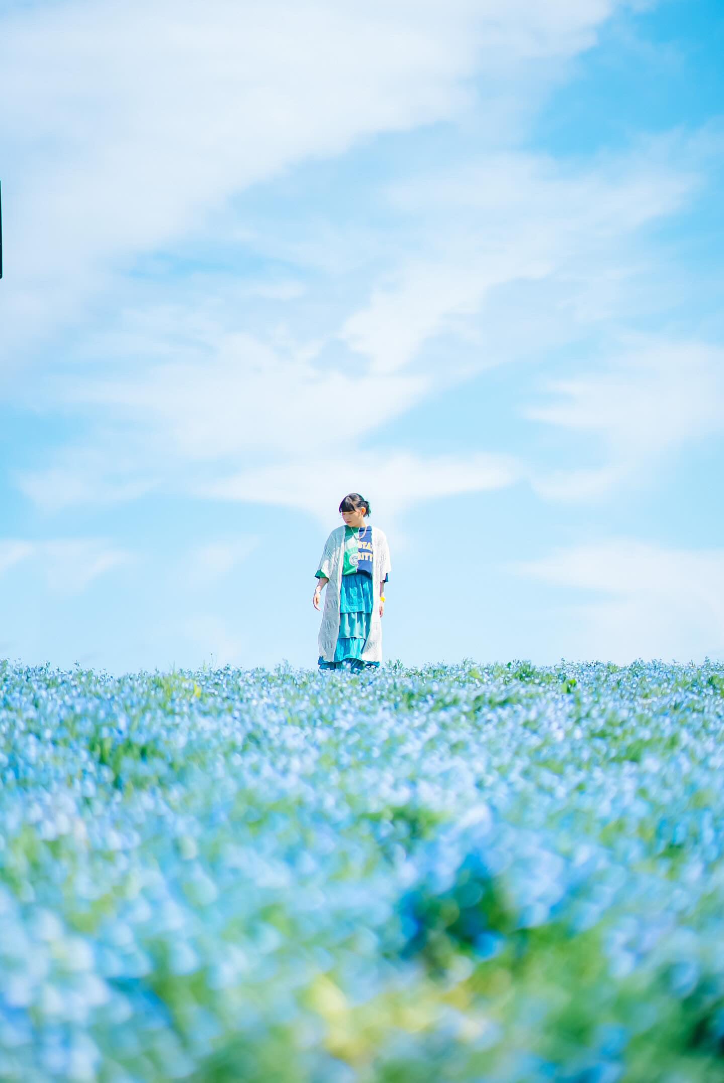 百合丘公園攝影 | 日本北海道攝影 | KaChick