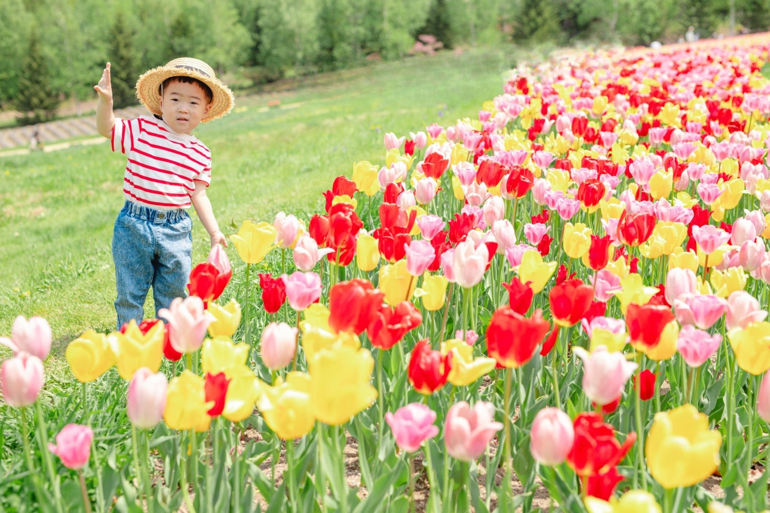 北海道全家福:與 Luna 一起,捕捉愛的永恆瞬間
