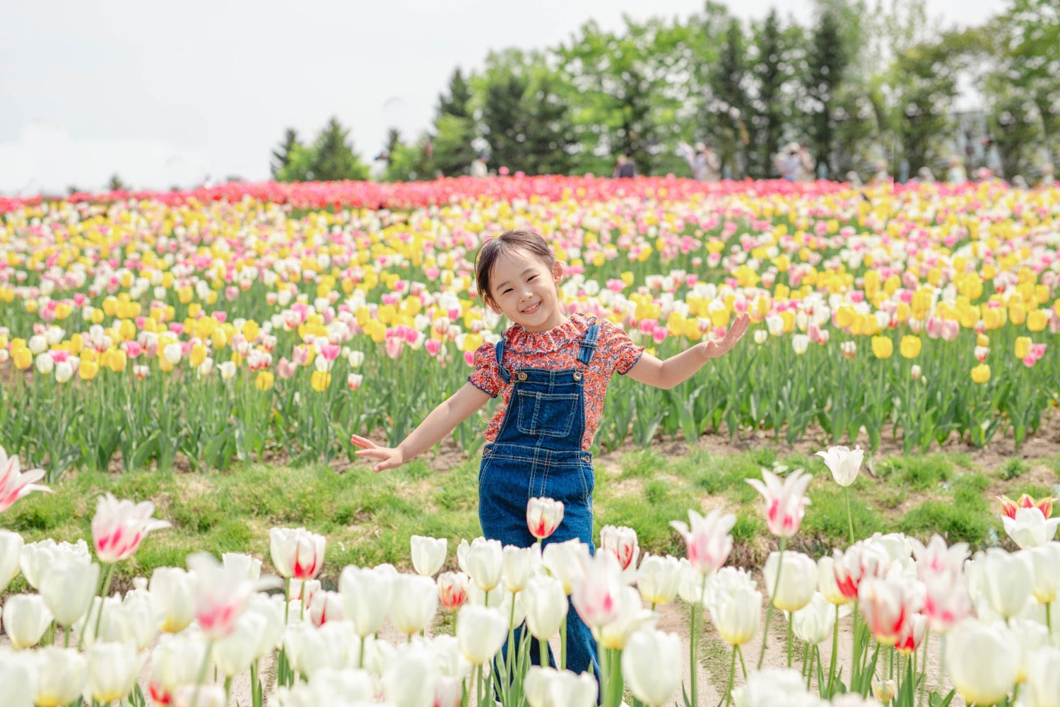 北海道全家福:與 Luna 一起,捕捉愛的永恆瞬間