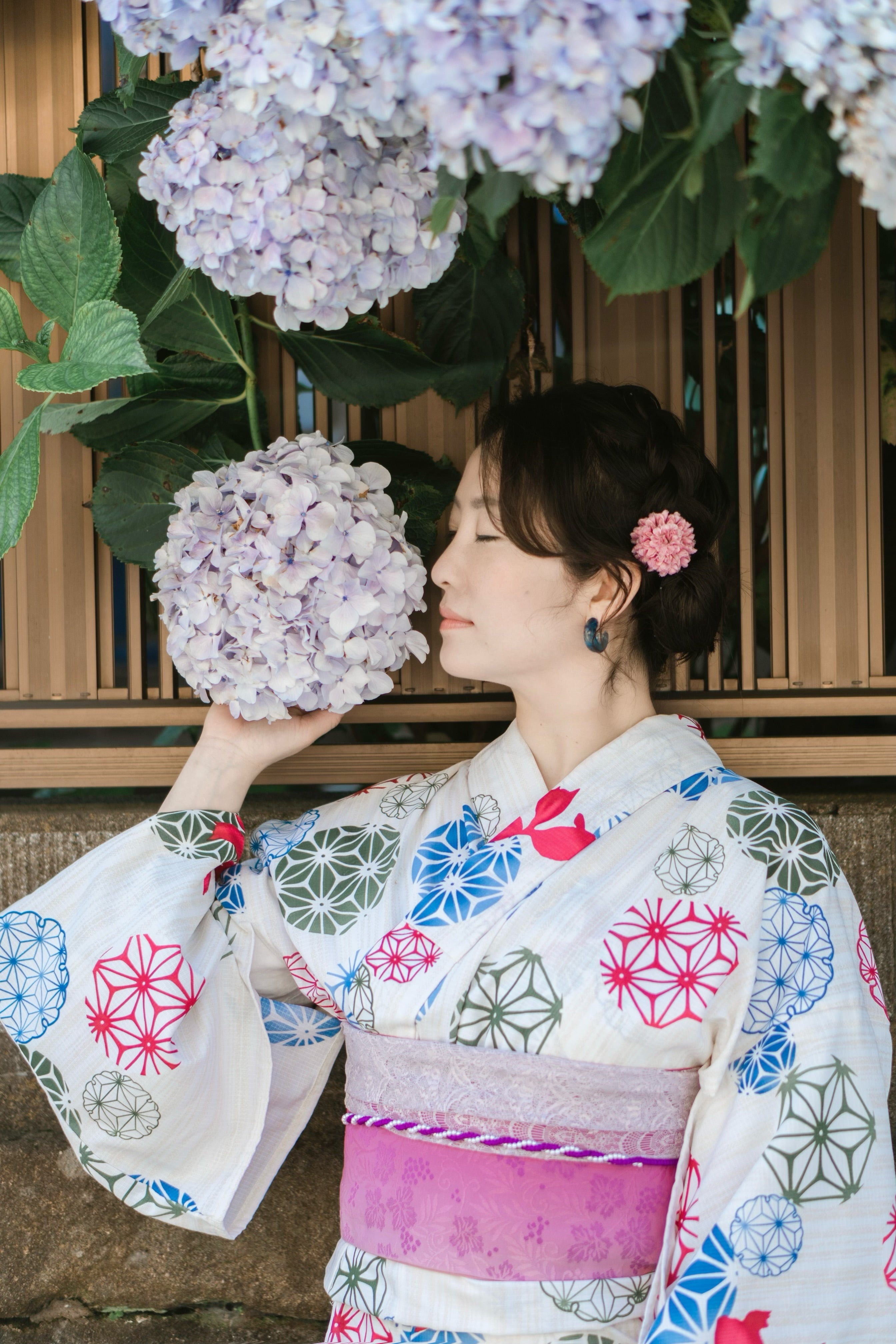 神奈川繡球花 鎌倉花海遊