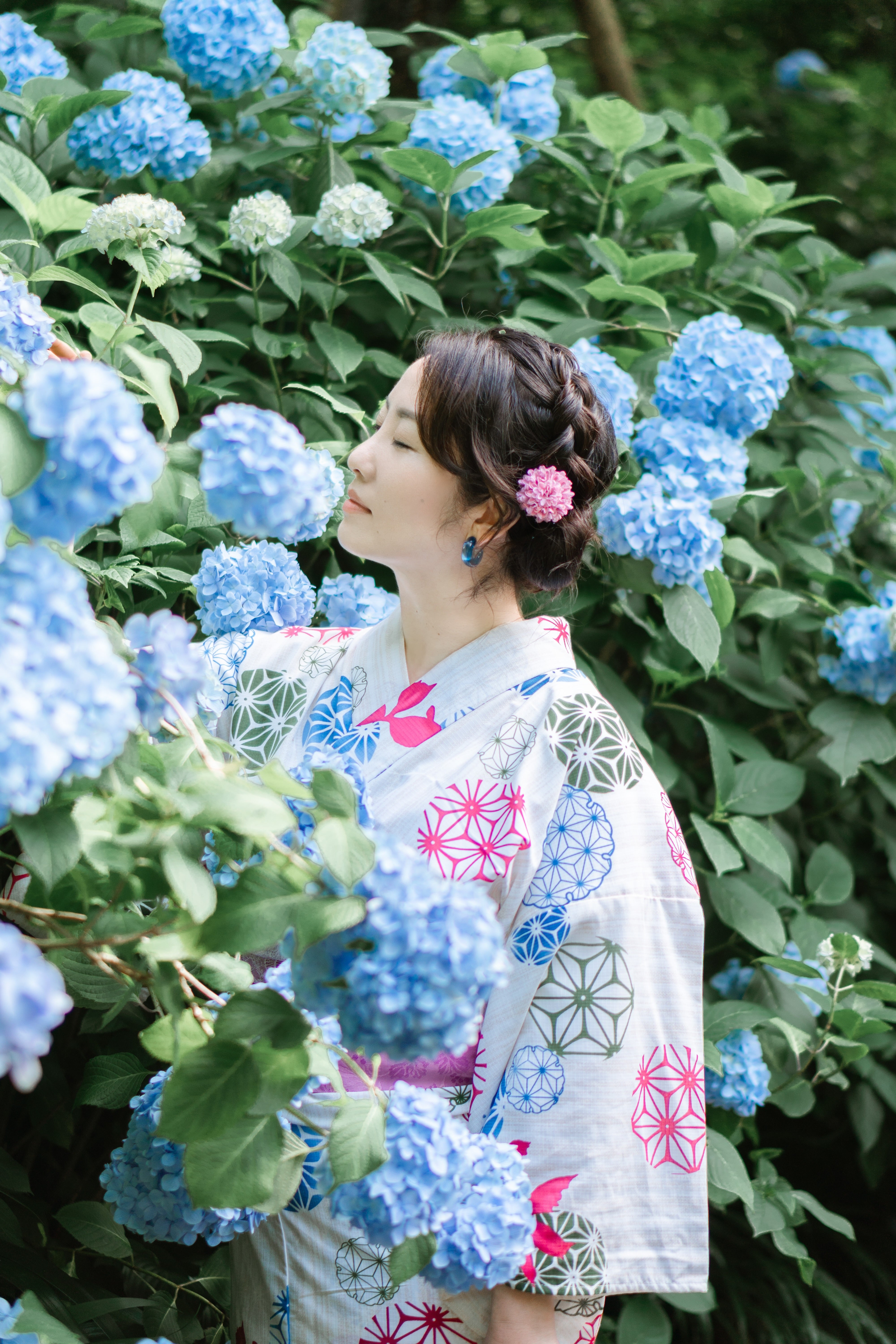 神奈川繡球花 鎌倉花海遊