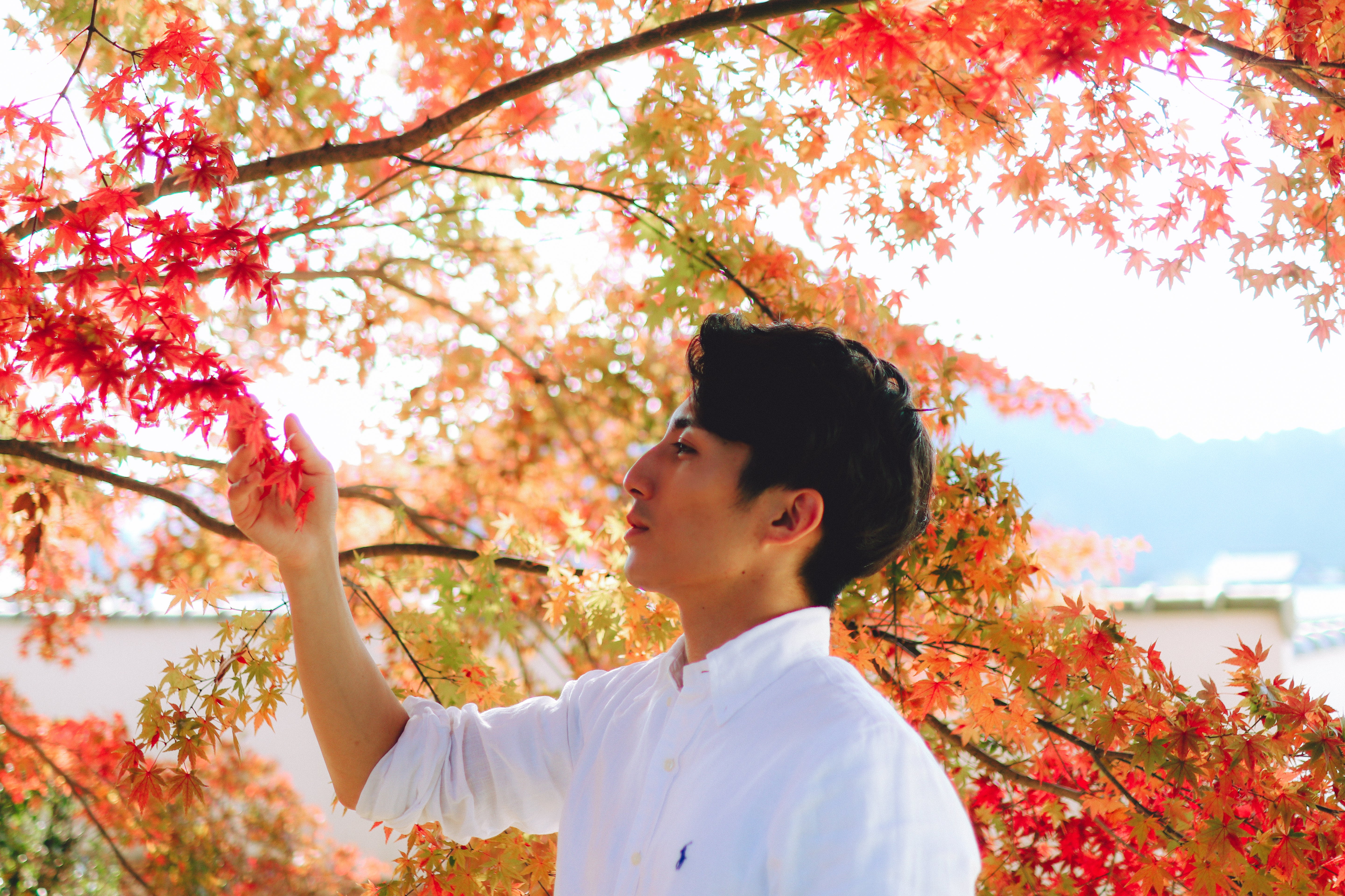 福岡秋月攝影 | 日本攝影師預約