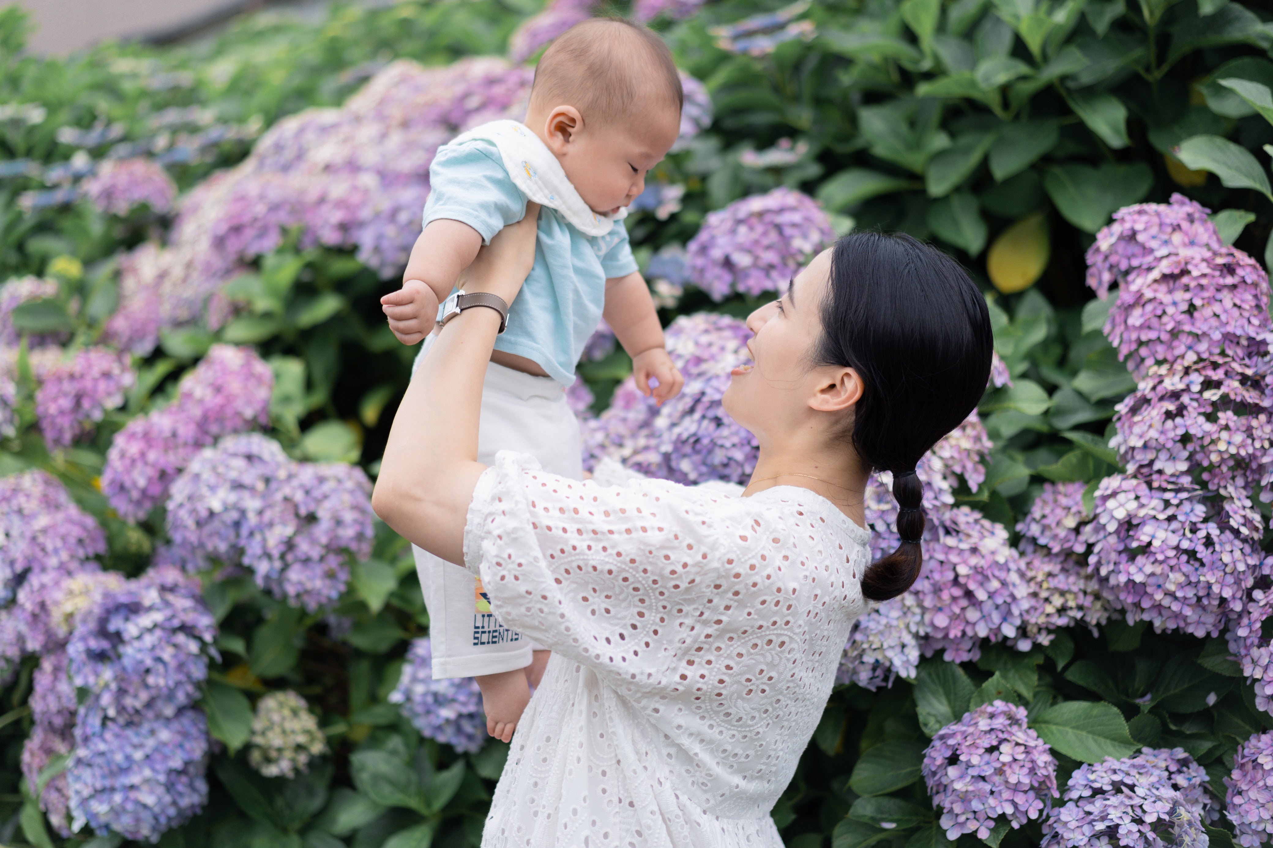 日本花卉攝影 | 東京家庭旅遊預訂