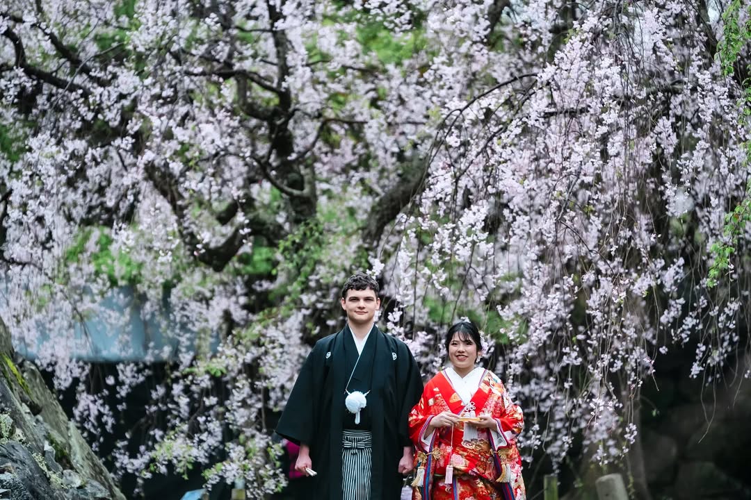 福岡舞鶴公園:攝影師Ishii的情侶櫻花攝影體驗