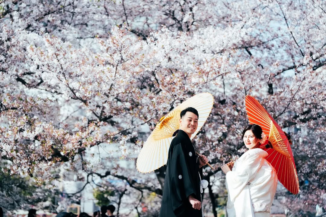 福岡舞鶴公園:攝影師Ishii的情侶櫻花攝影體驗