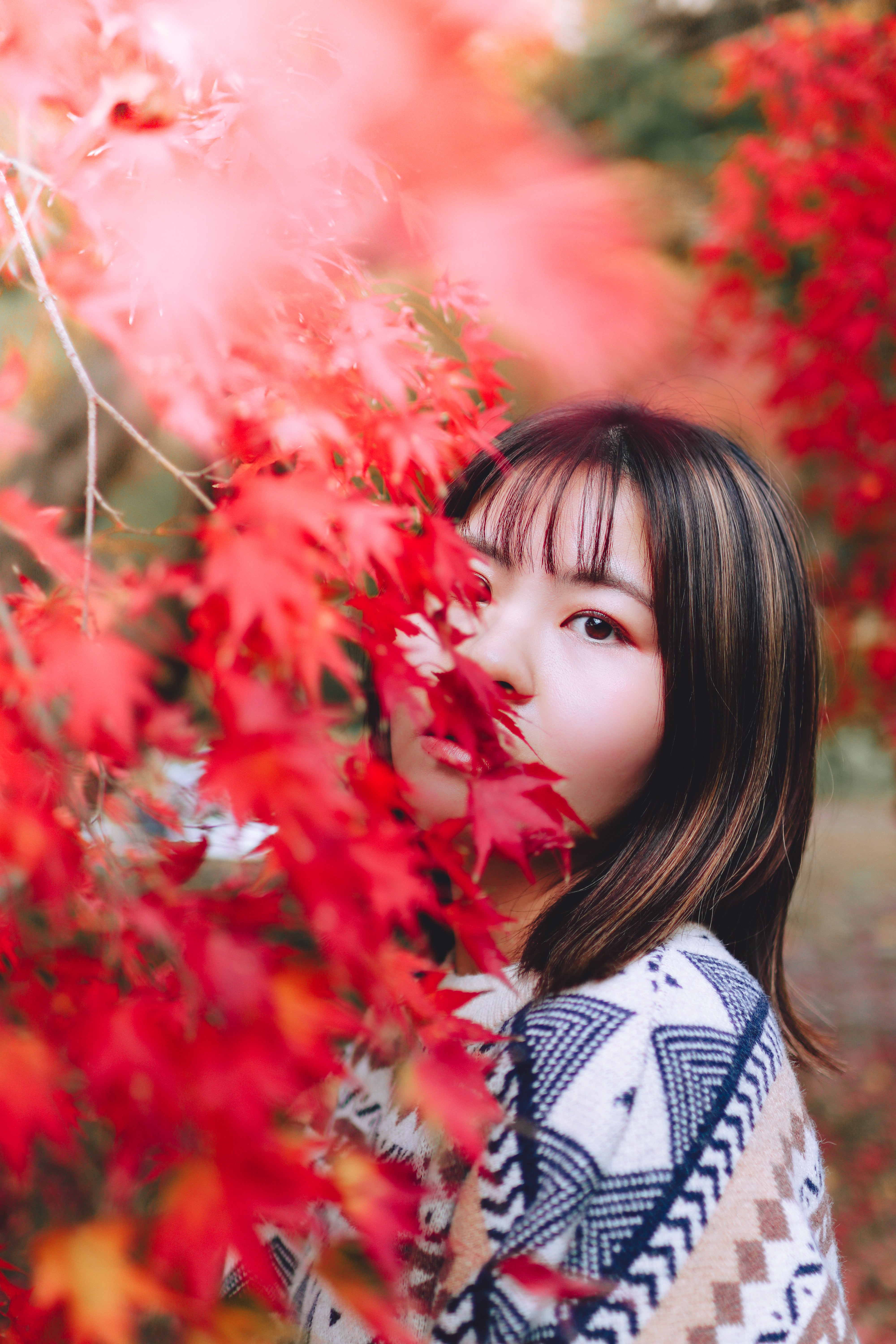 福知山腳下花卉公園 | 日本福岡花卉攝影