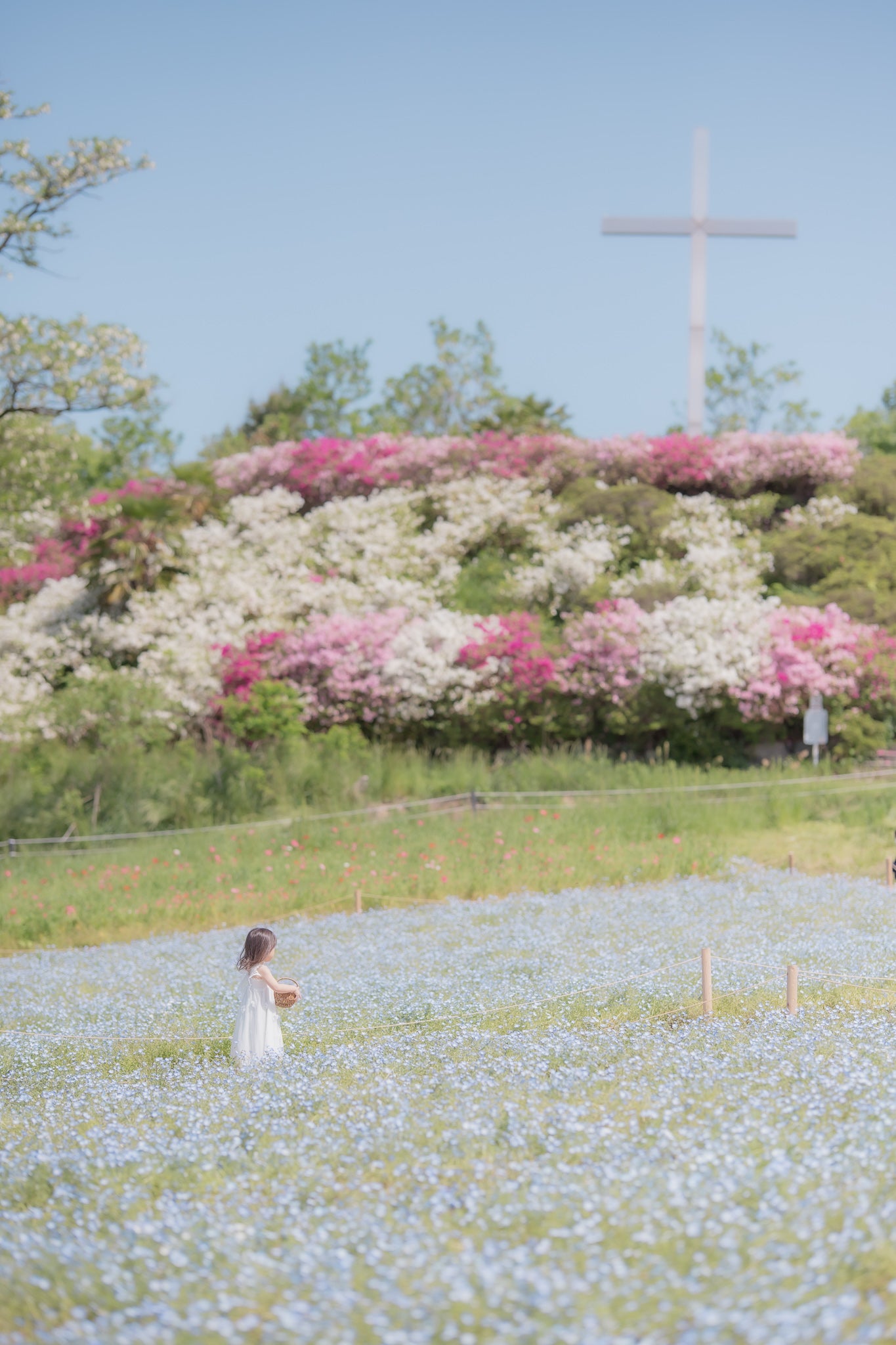 名古屋愛知牧場與 Ula 的溫馨攝影之旅