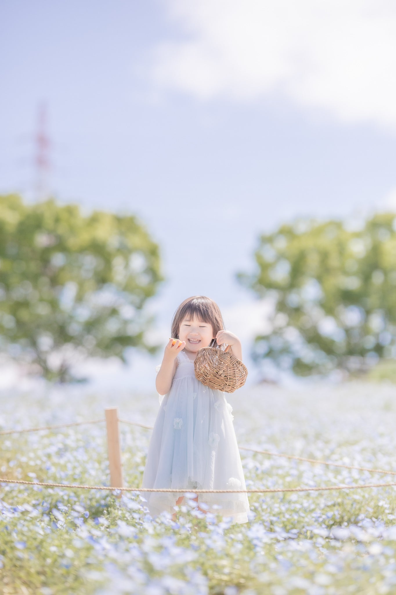 名古屋愛知牧場與 Ula 的溫馨攝影之旅