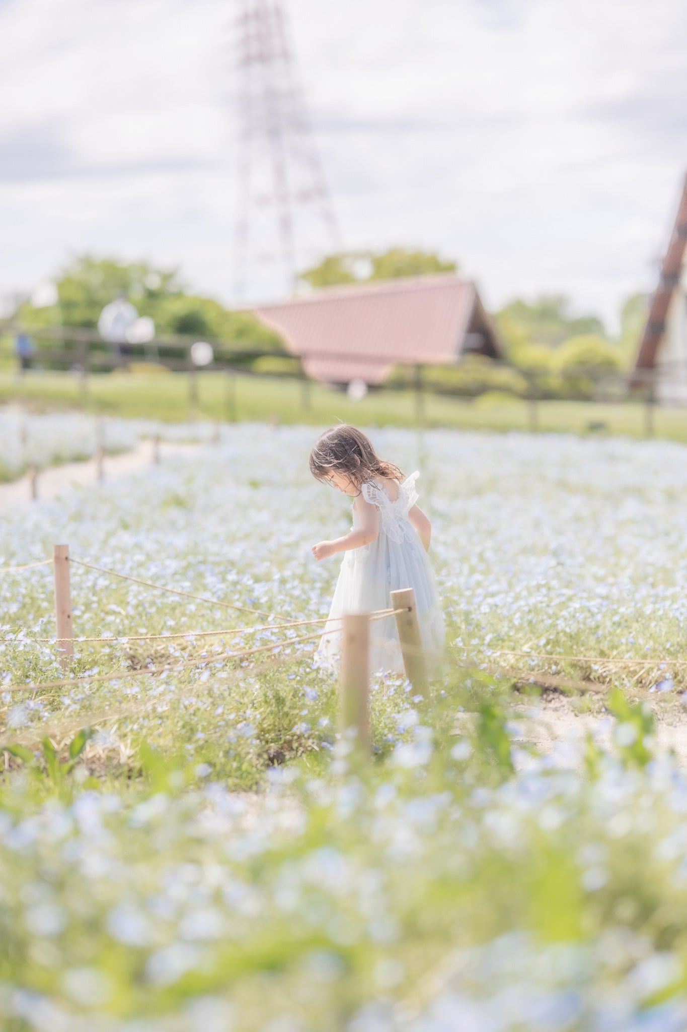 名古屋愛知牧場與 Ula 的溫馨攝影之旅