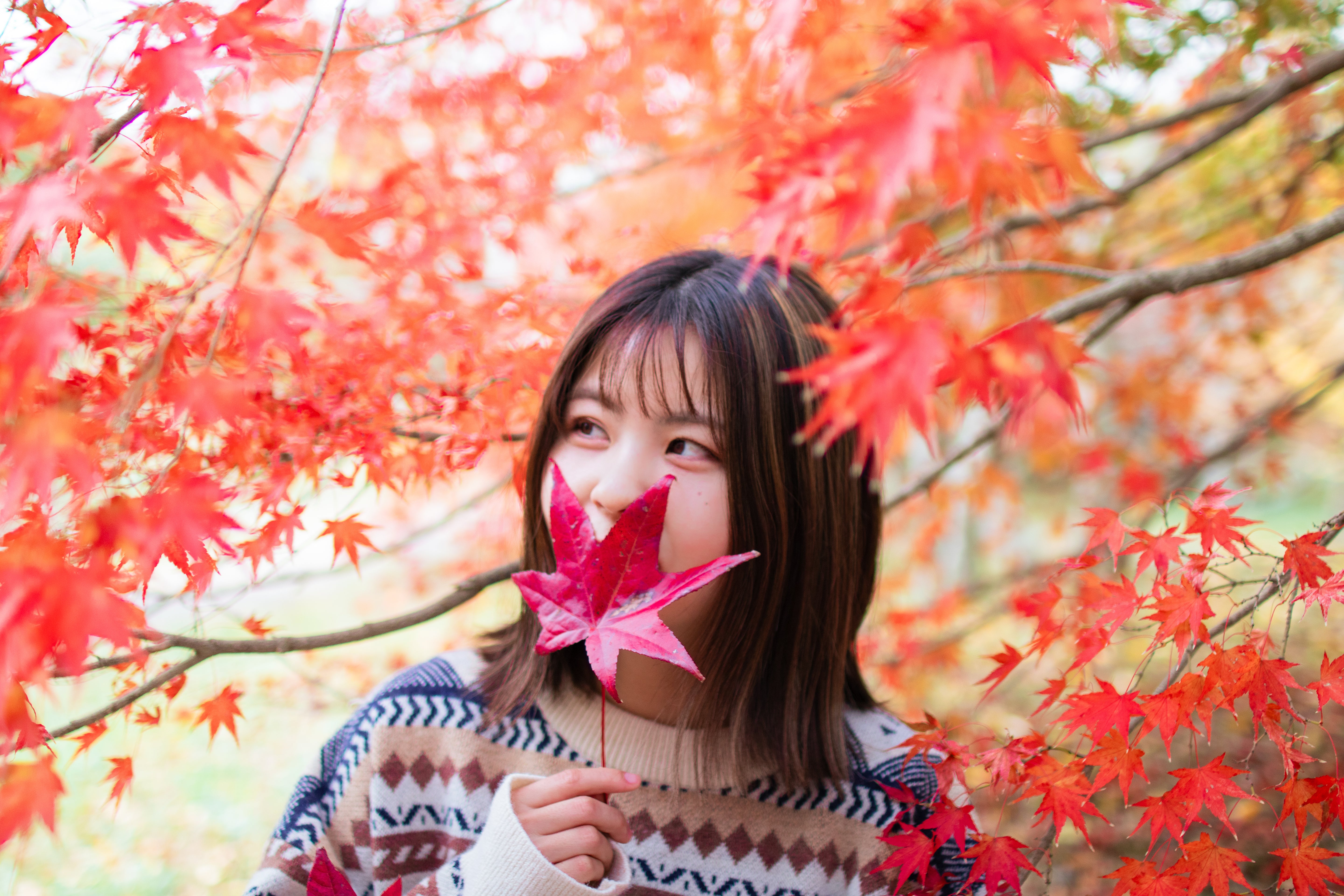 福知山腳下花卉公園 | 日本福岡花卉攝影