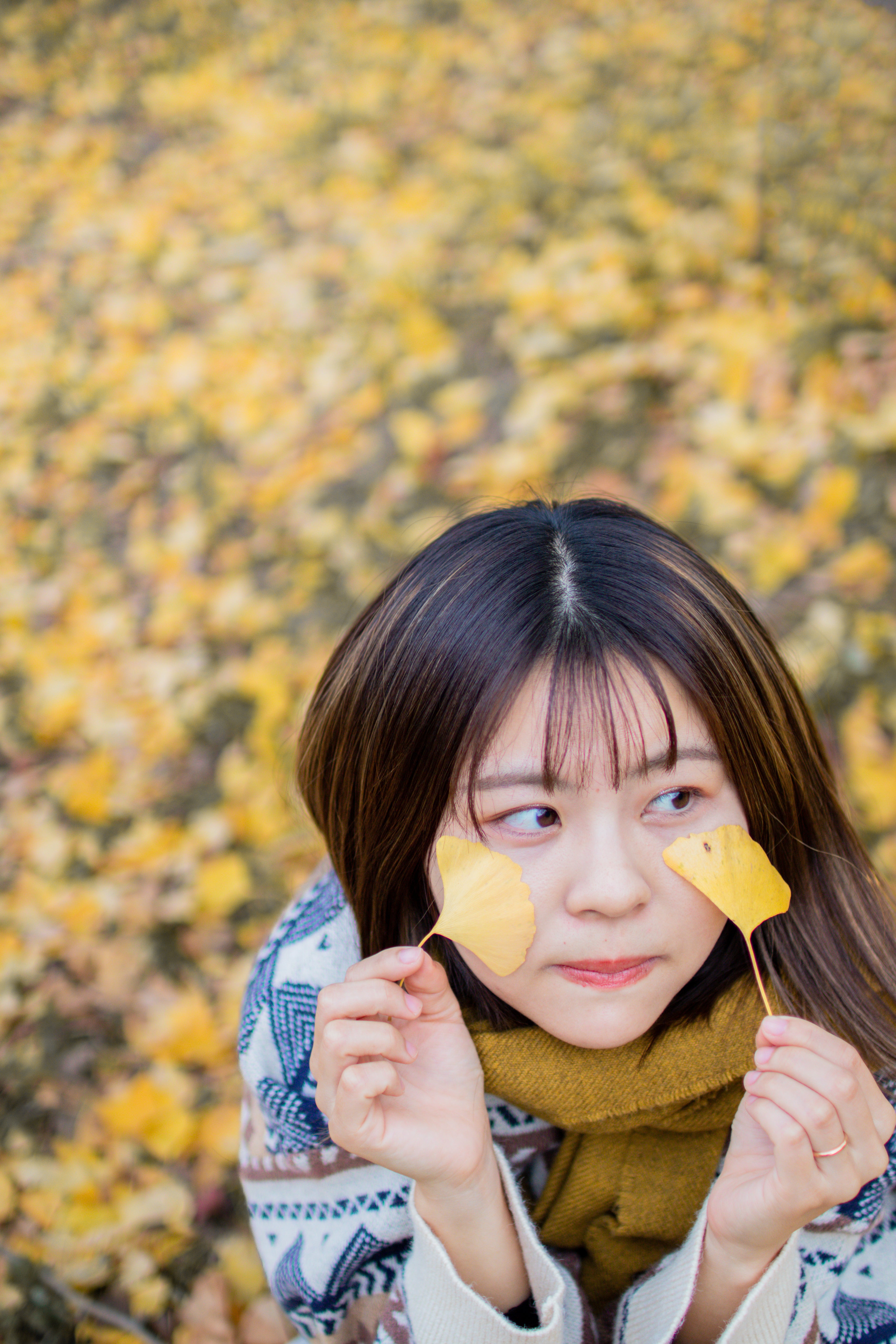 福知山腳下花卉公園 | 日本福岡花卉攝影