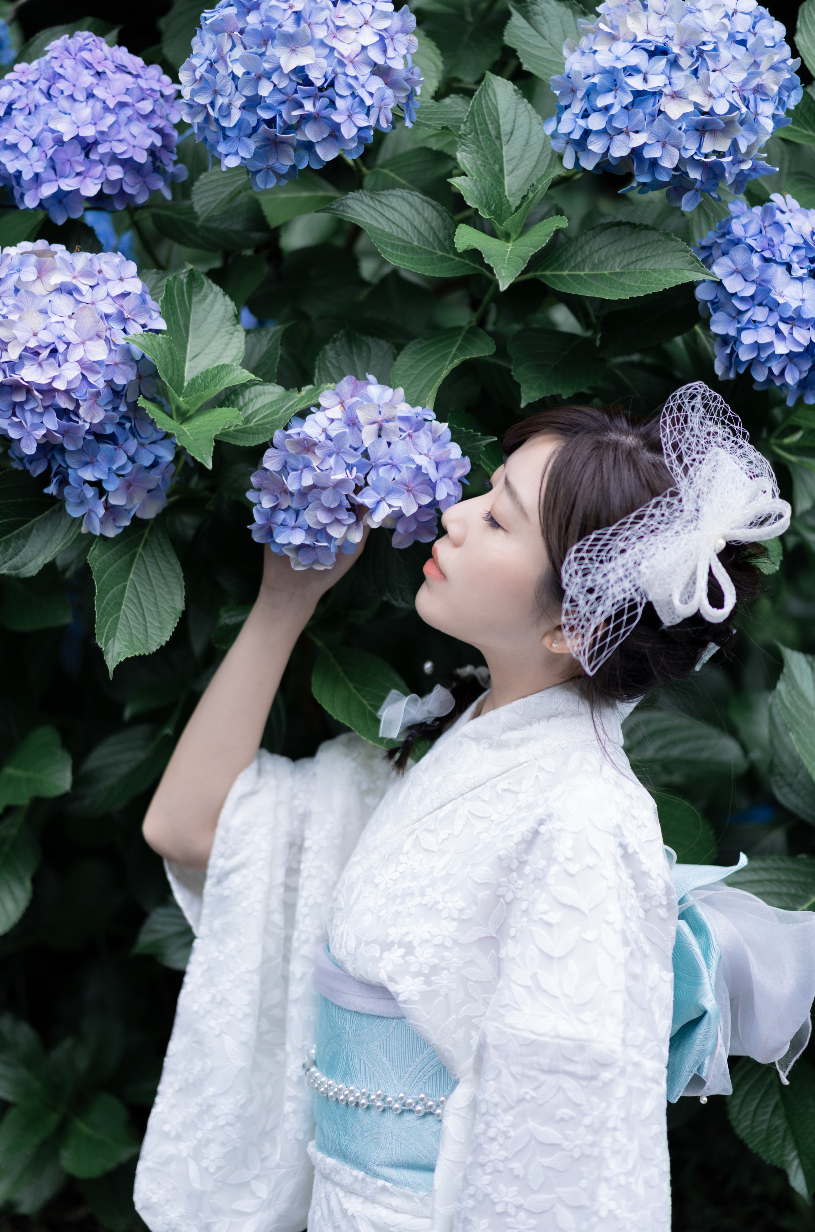 東京繡球花攝影 | 飛鳥公園專業服務