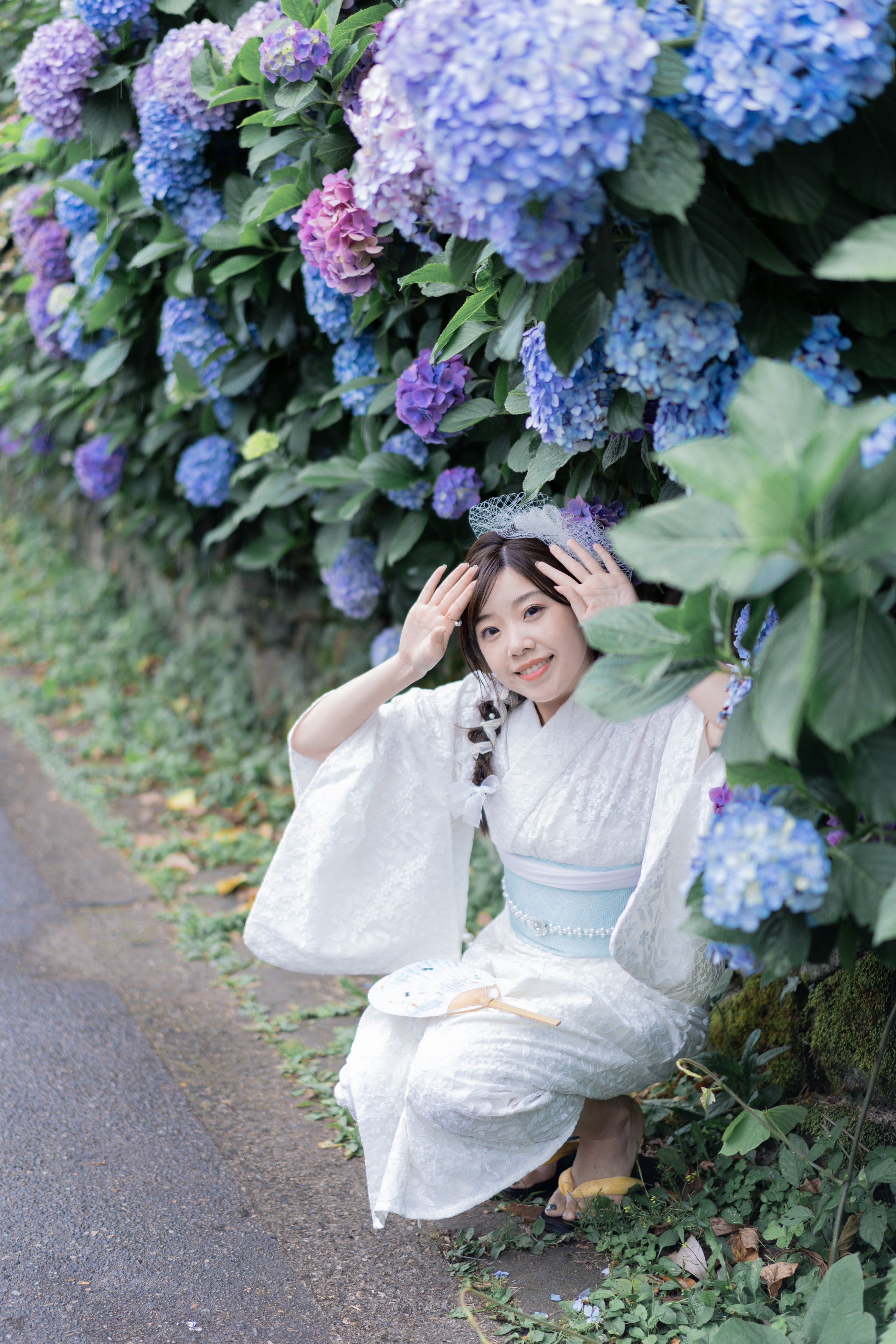 東京繡球花攝影 | 飛鳥公園專業服務