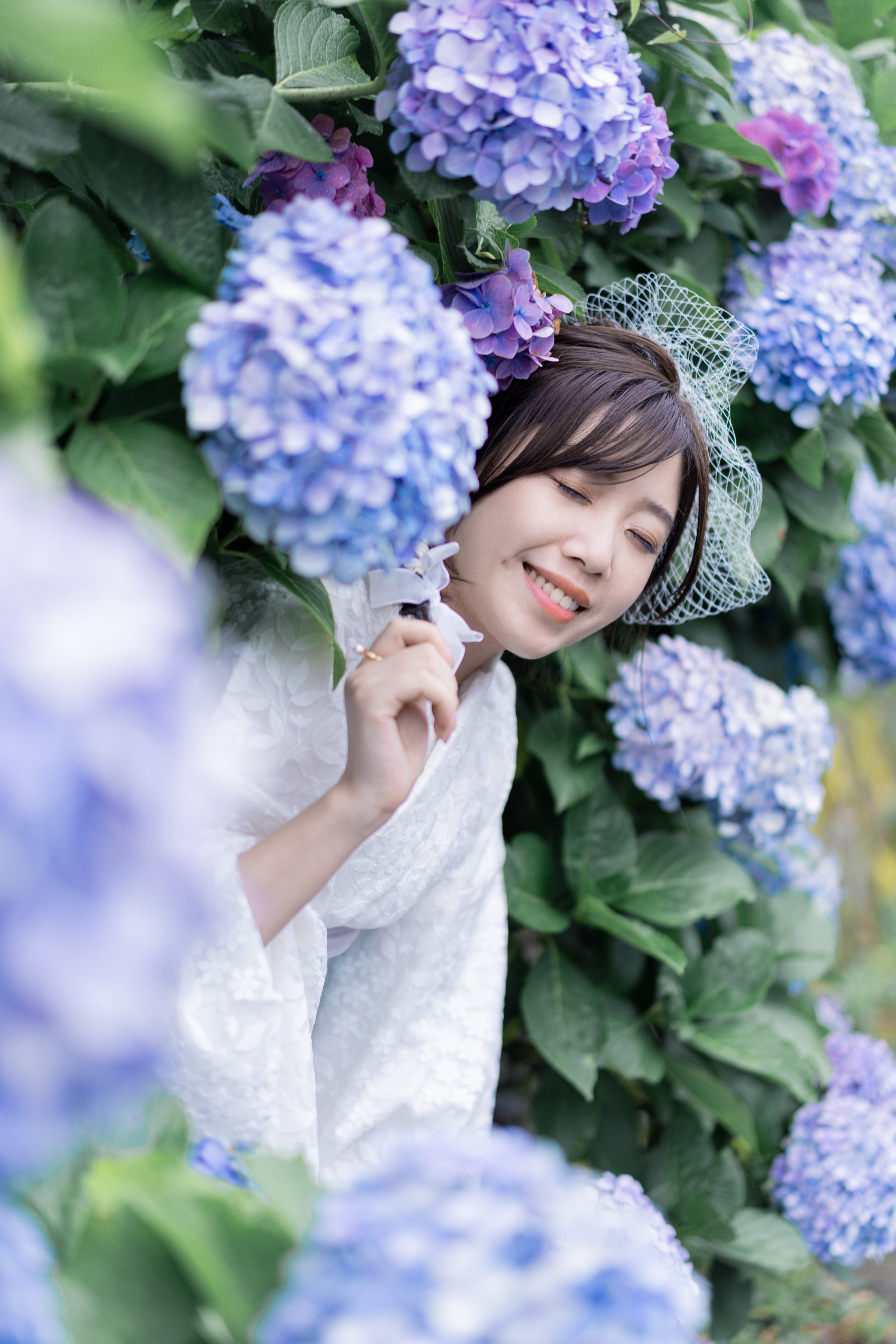 東京繡球花攝影 | 飛鳥公園專業服務