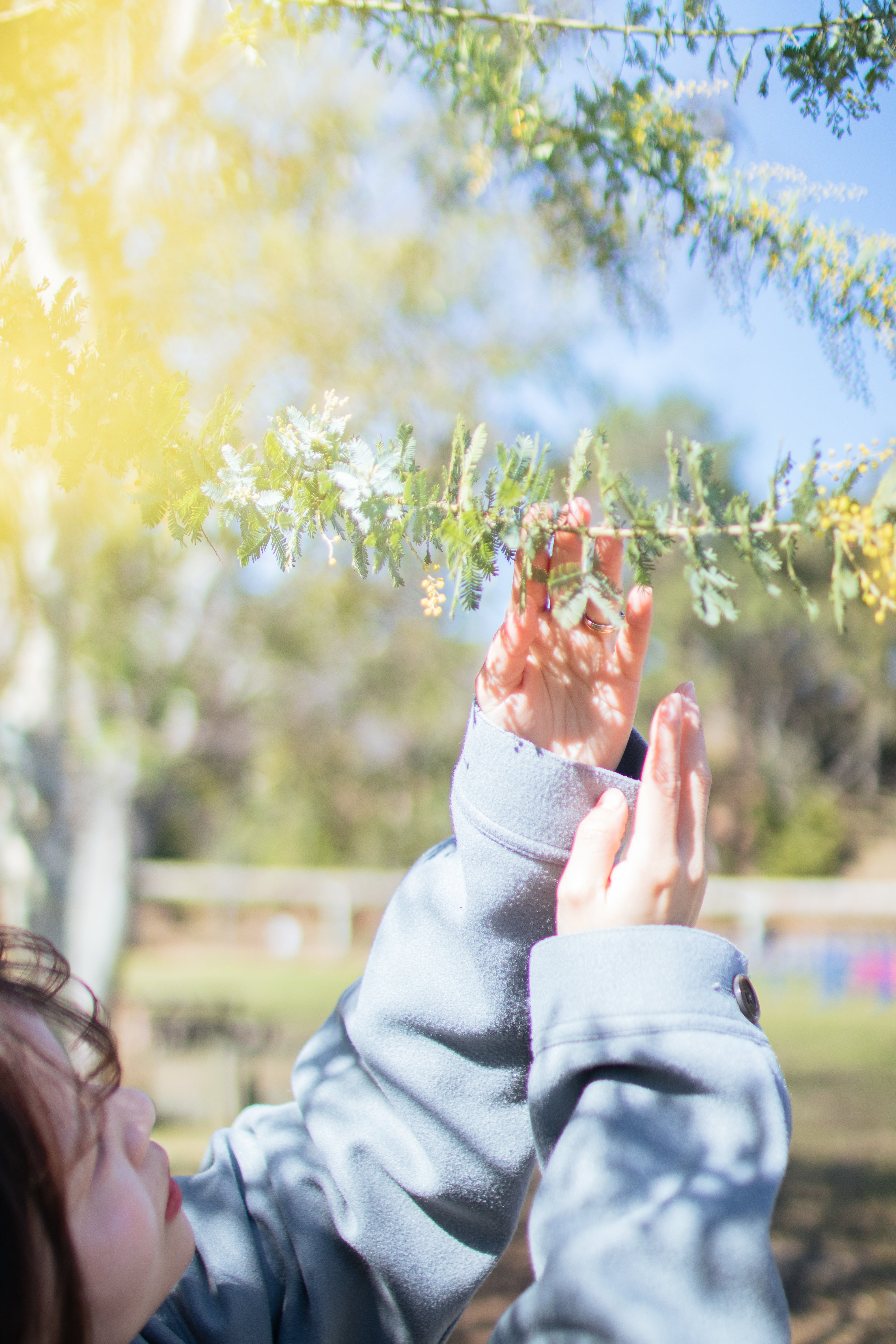 福岡動物園攝影花|攝影日本之旅
