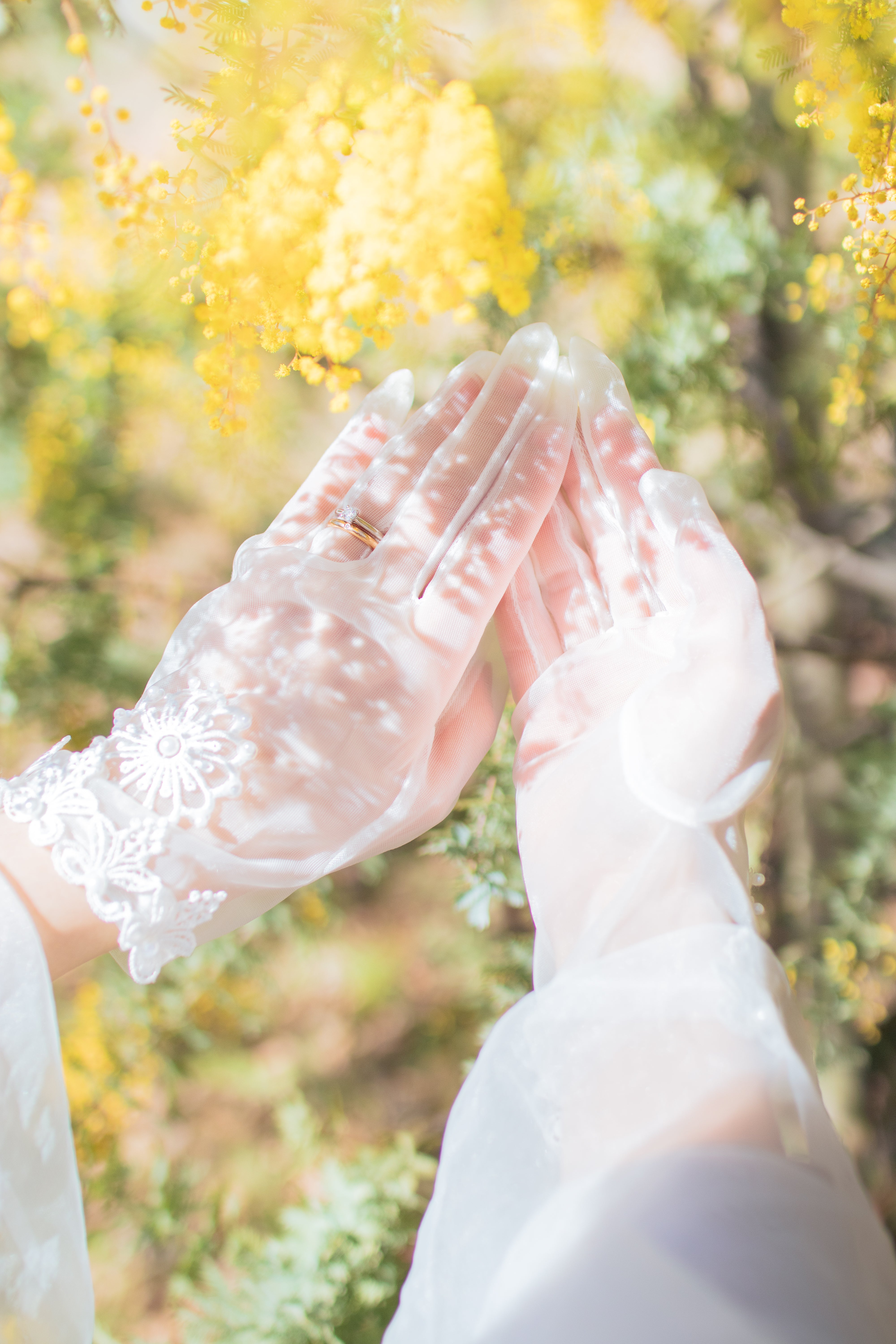 福岡動物園攝影花|攝影日本之旅