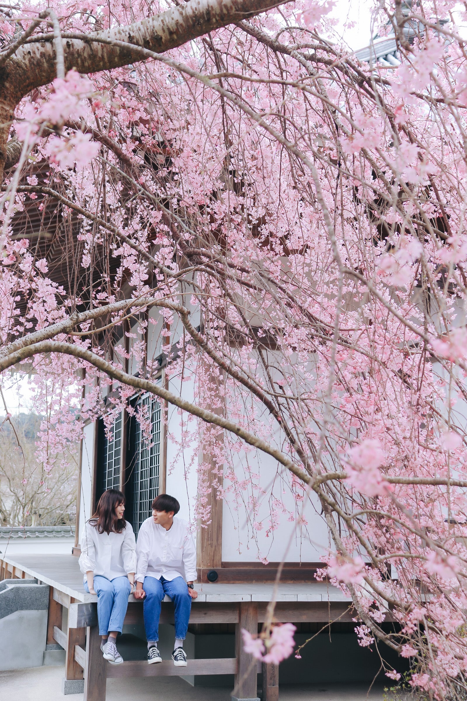 Takuto東京漫遊攝影之旅