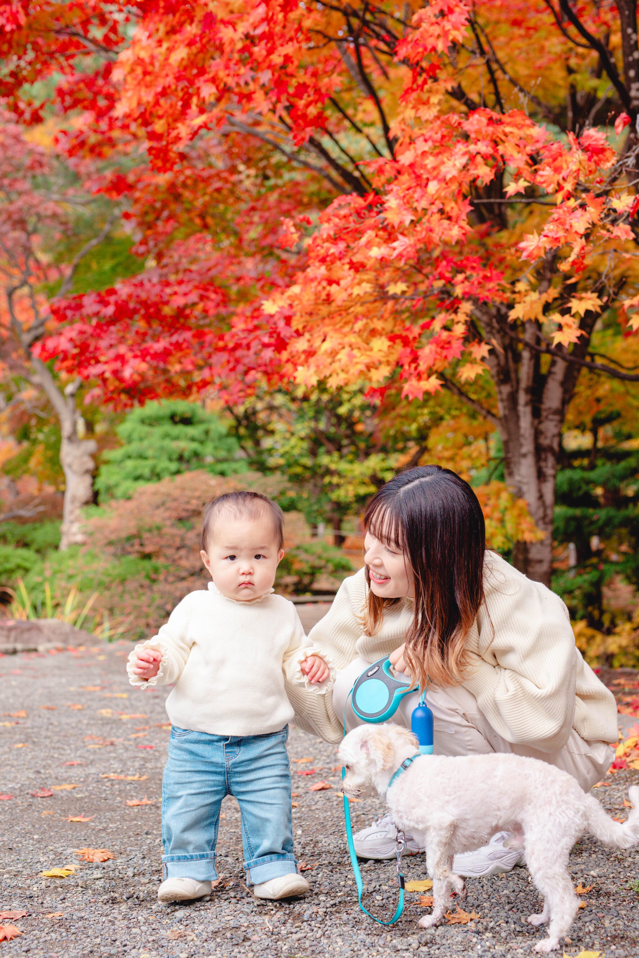 北海道全家福:與 Luna 一起,捕捉愛的永恆瞬間