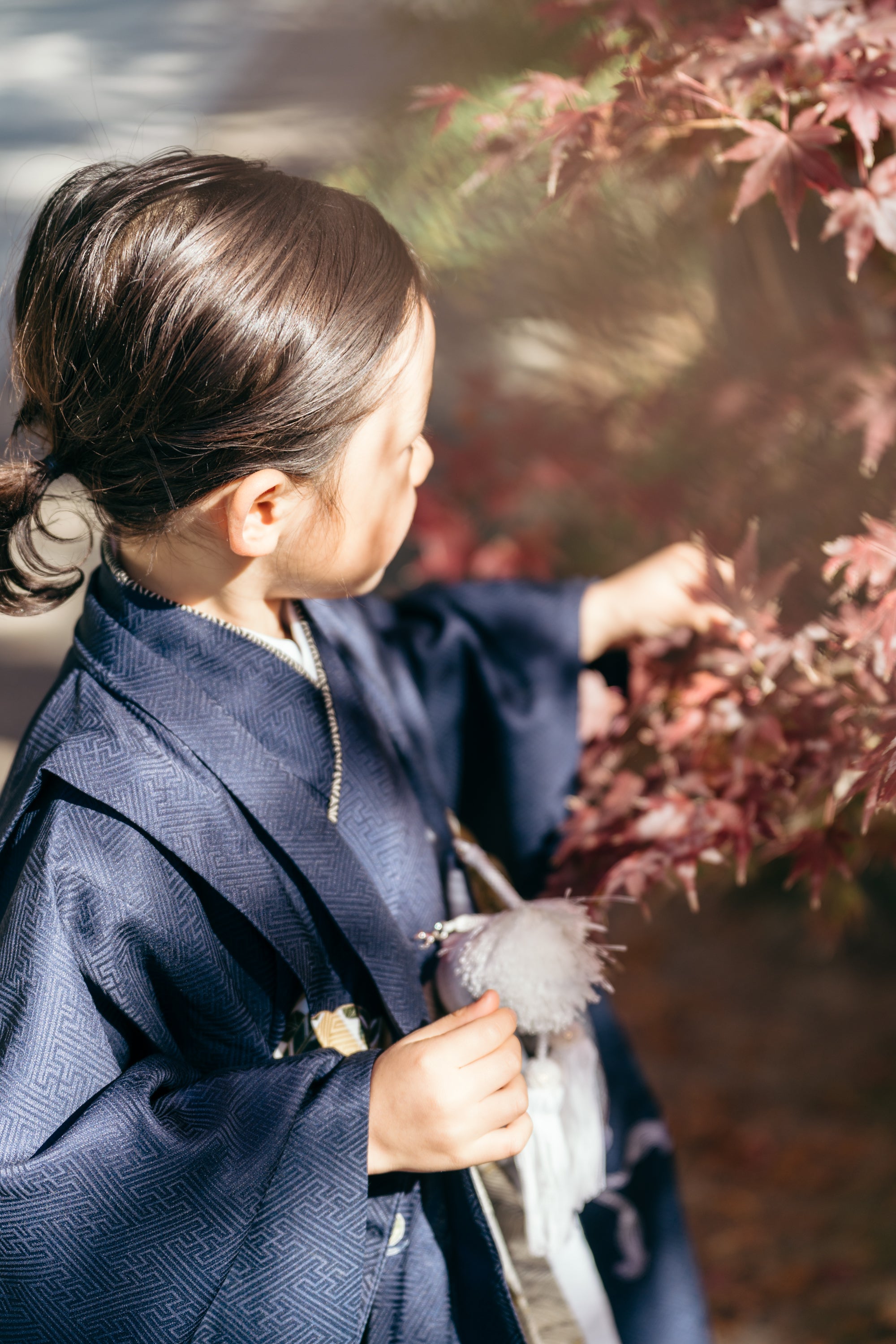 鎌倉秋季家庭攝影:攝影師 Sezaki 捕捉你的故事